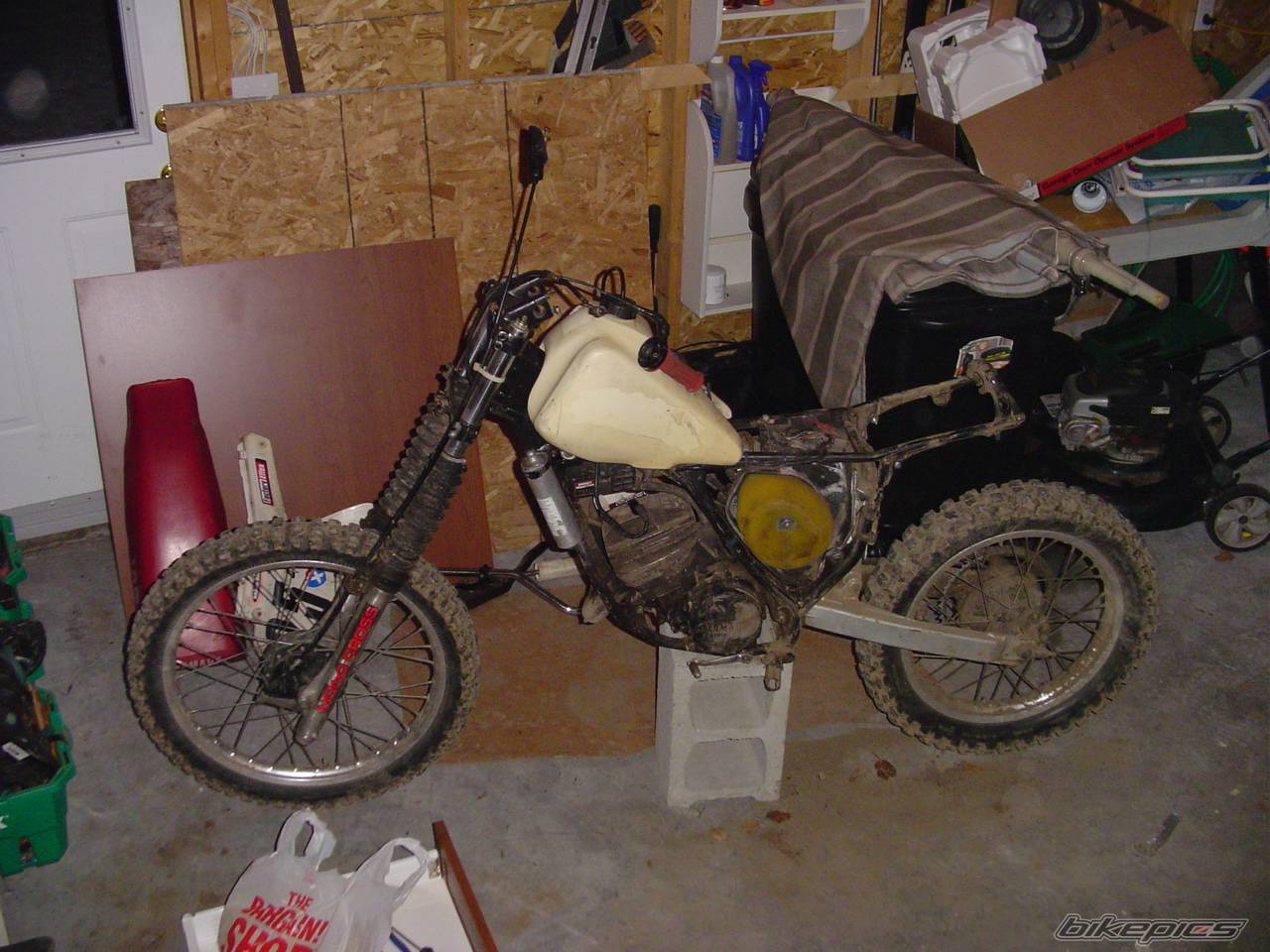 Photo 268793