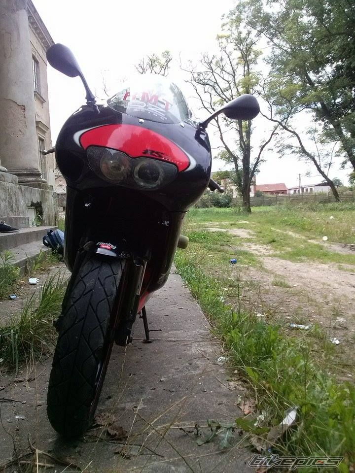 Photo 2688146