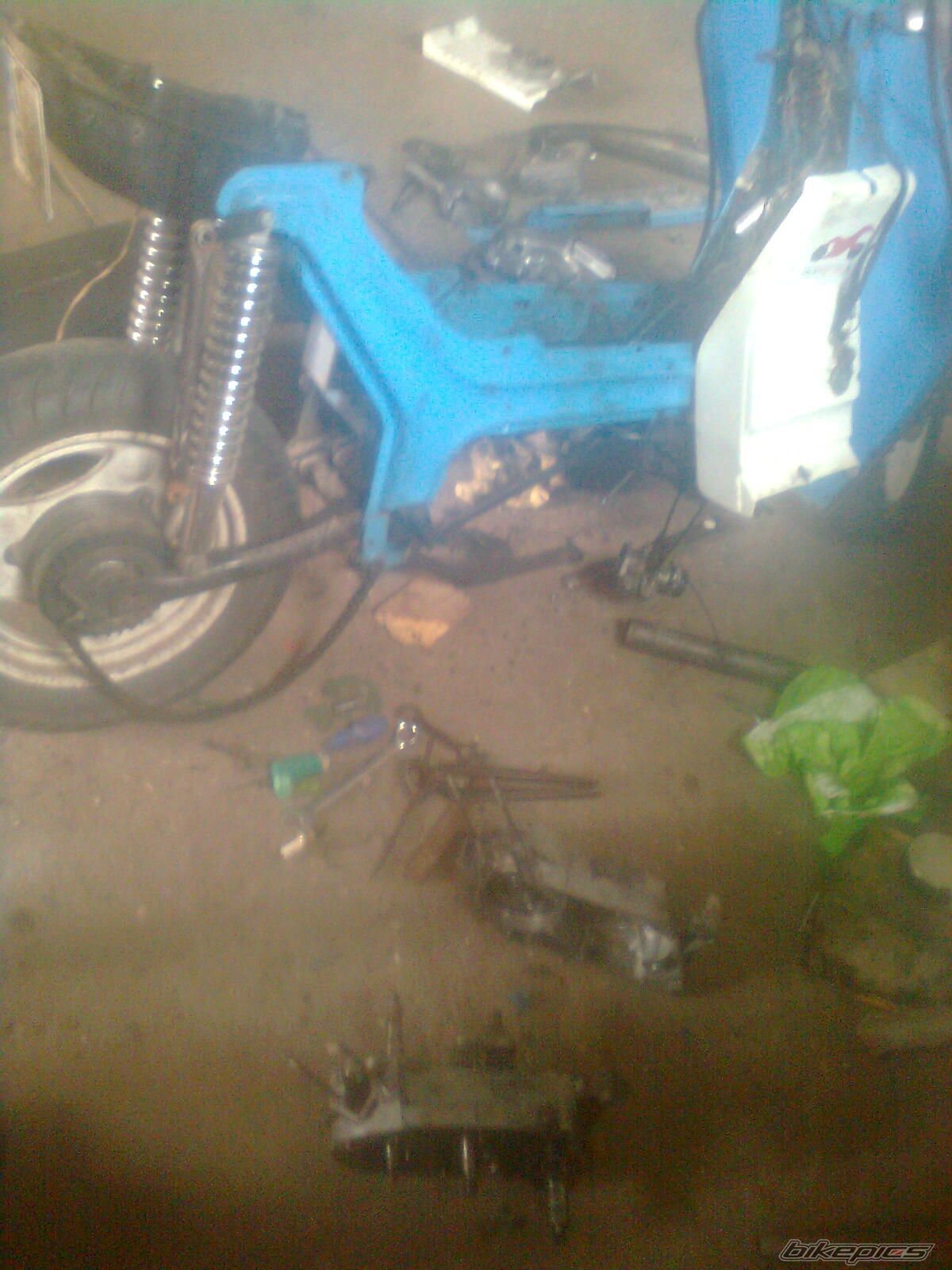 Photo 2688213