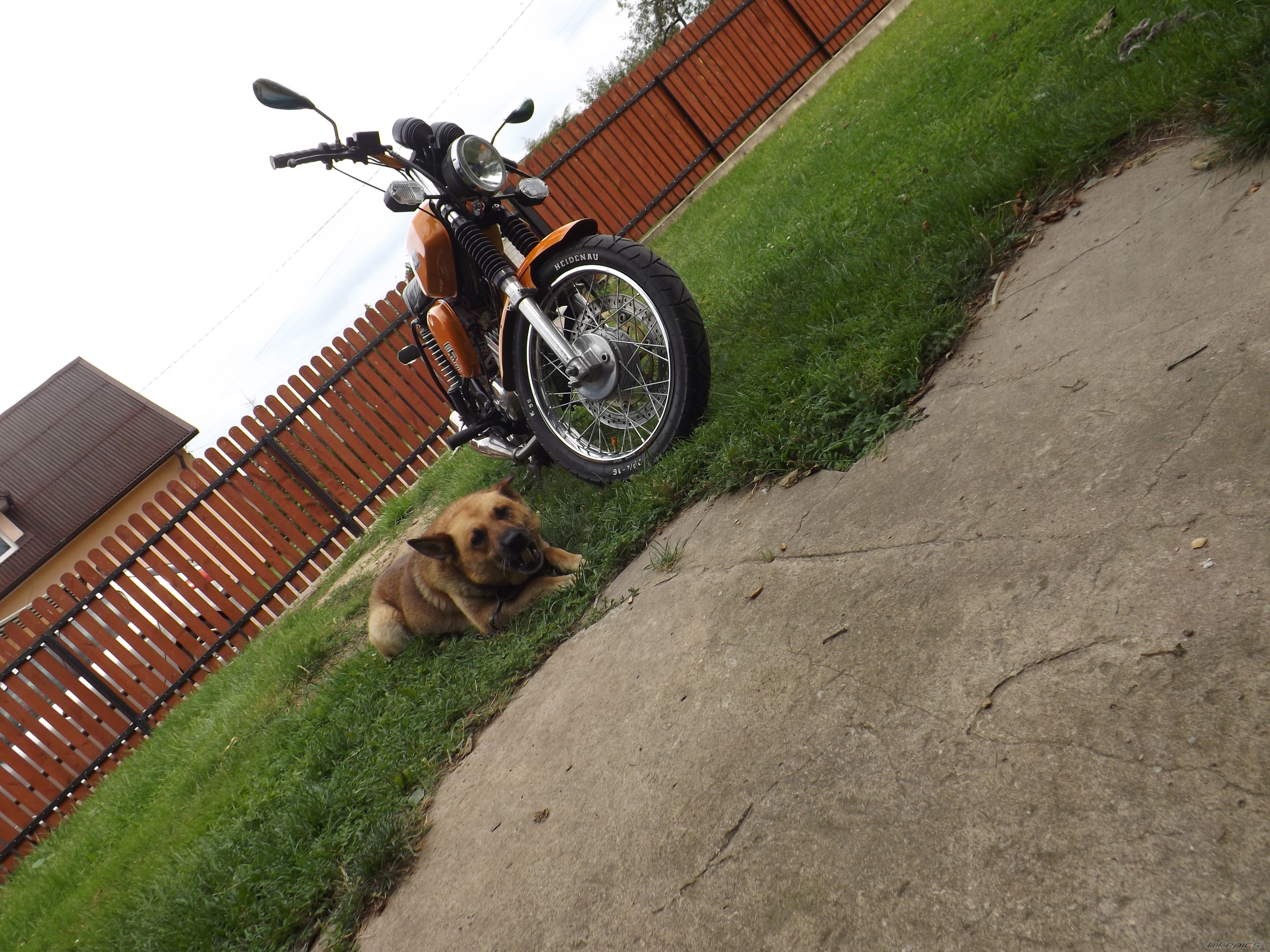 Photo 2688246