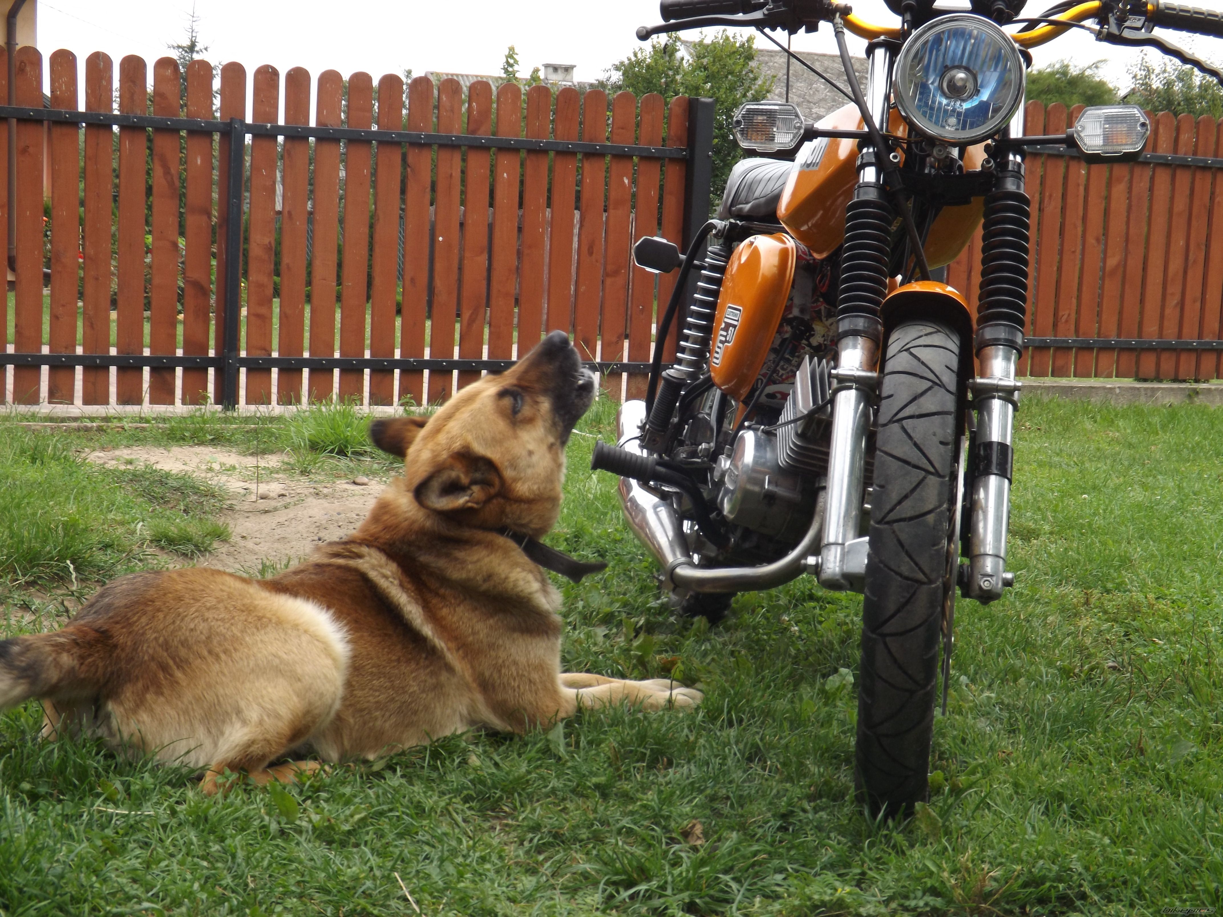 Photo 2688248