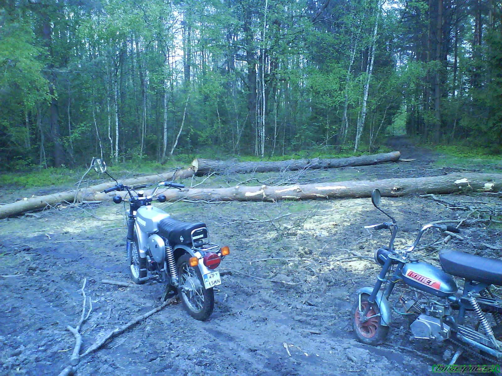 Photo 2688256