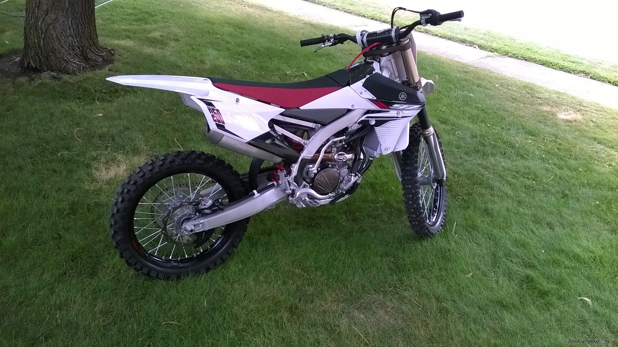 Photo 2688364