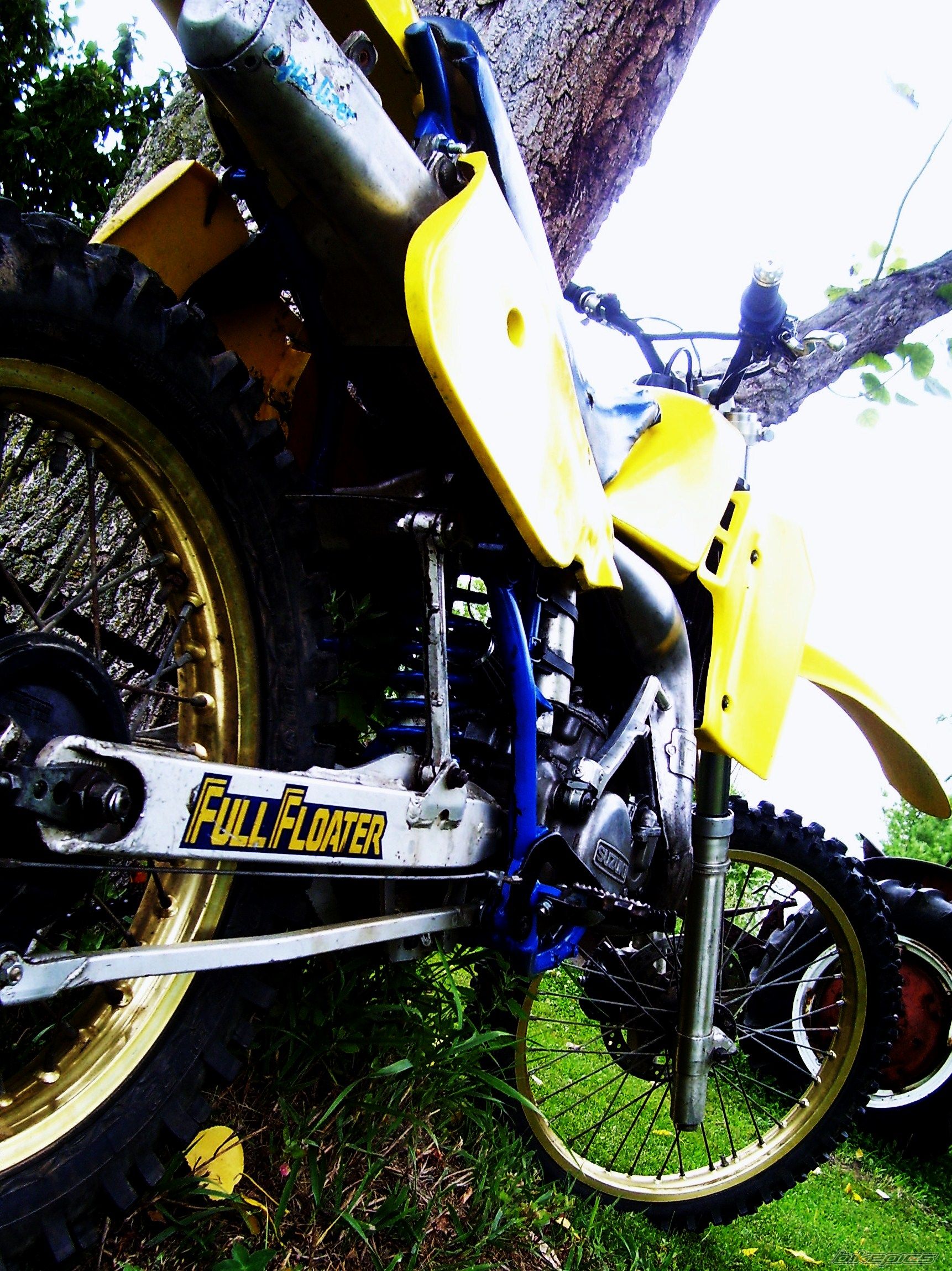 Photo 2688497