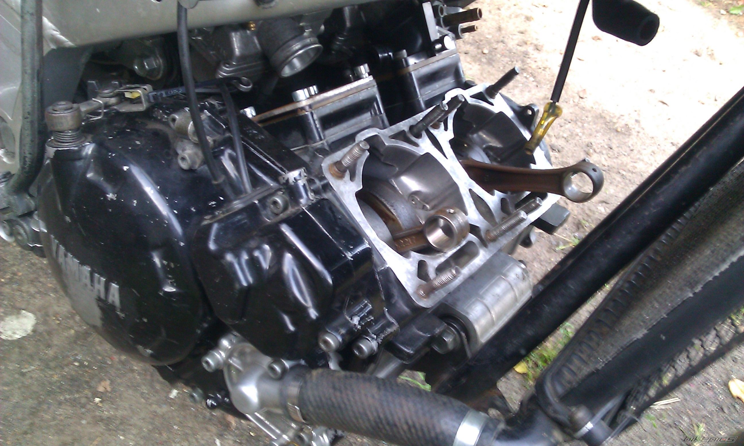 Photo 2688508