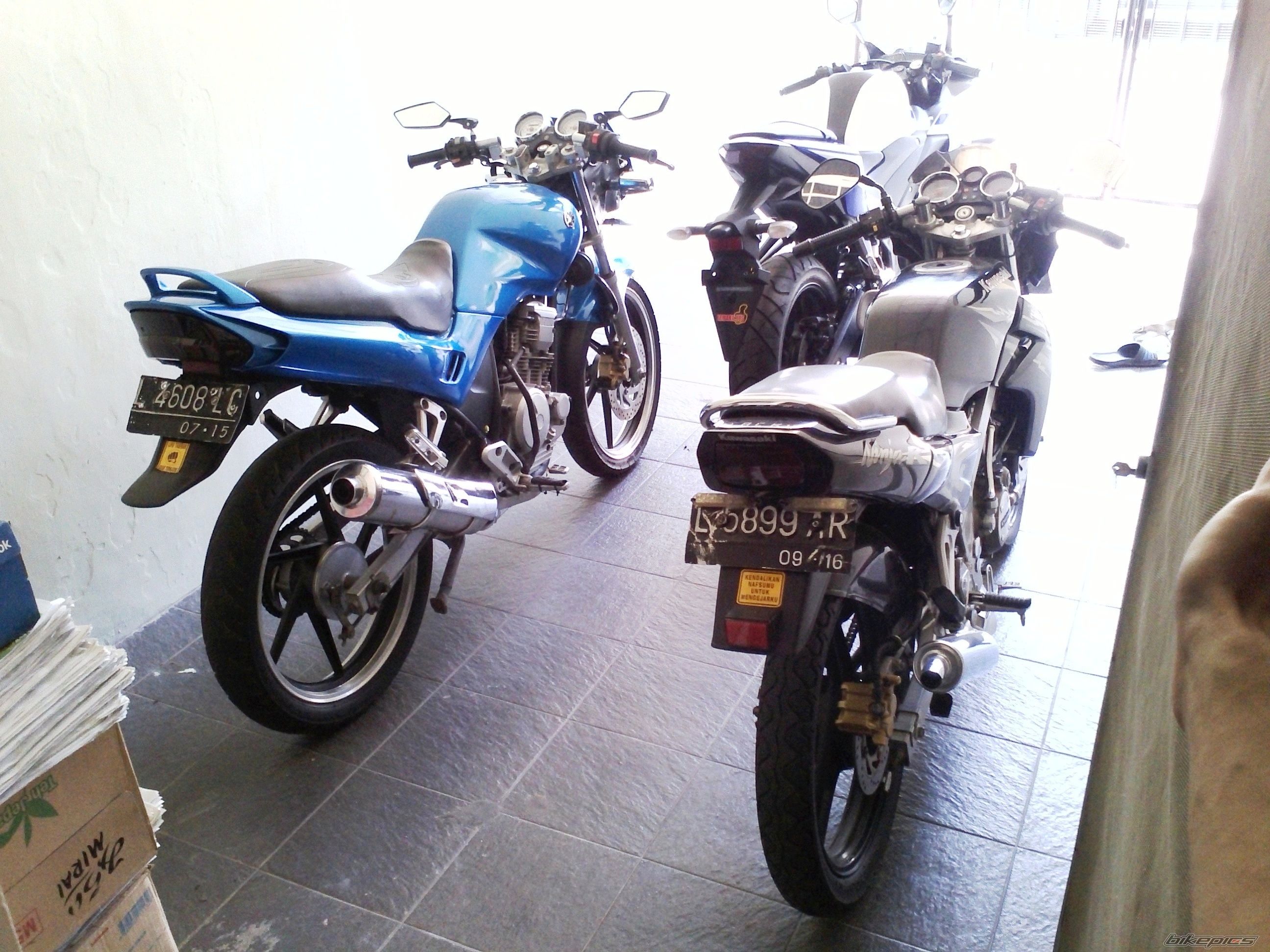 Photo 2688554