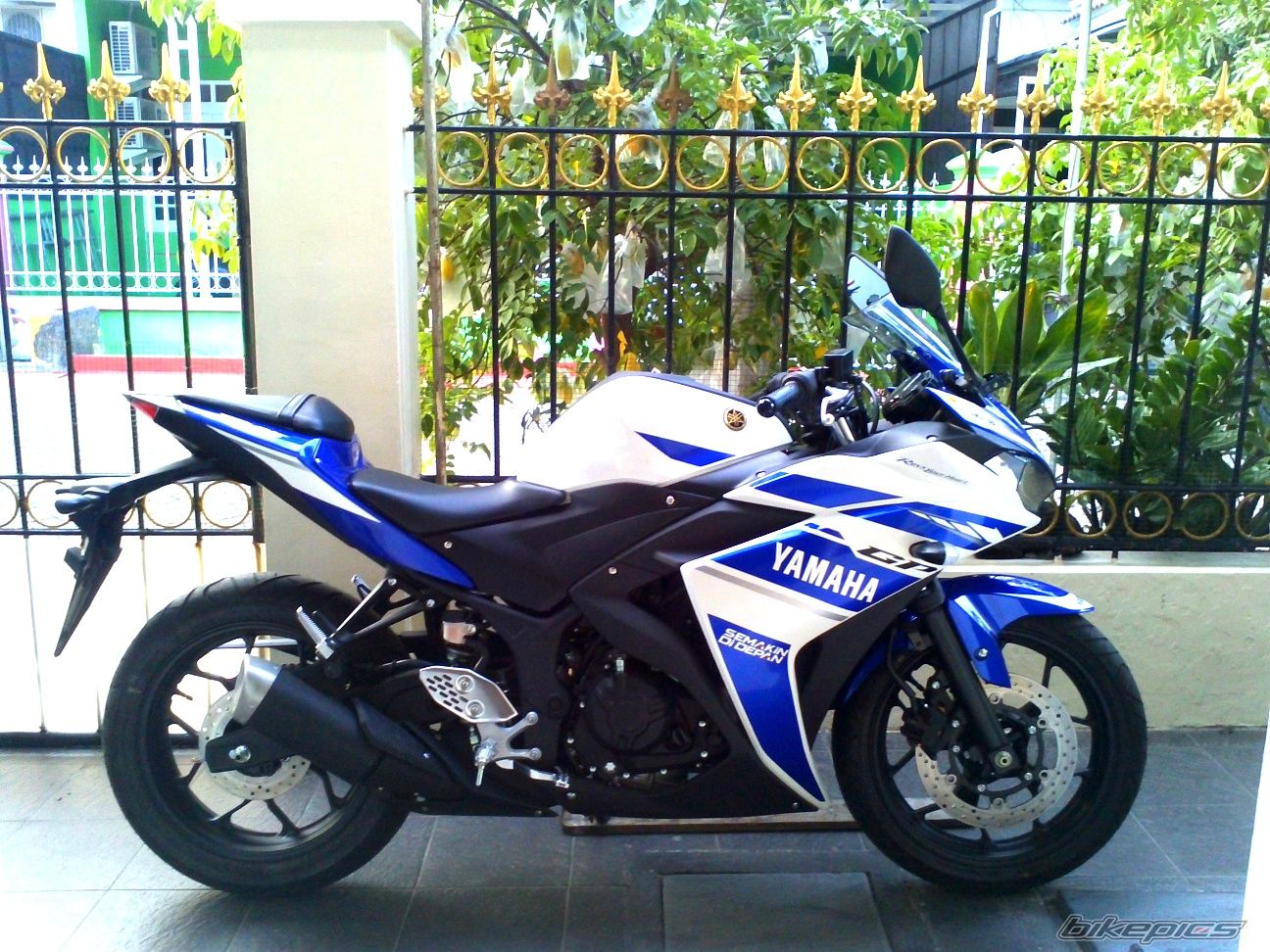 Photo 2688557