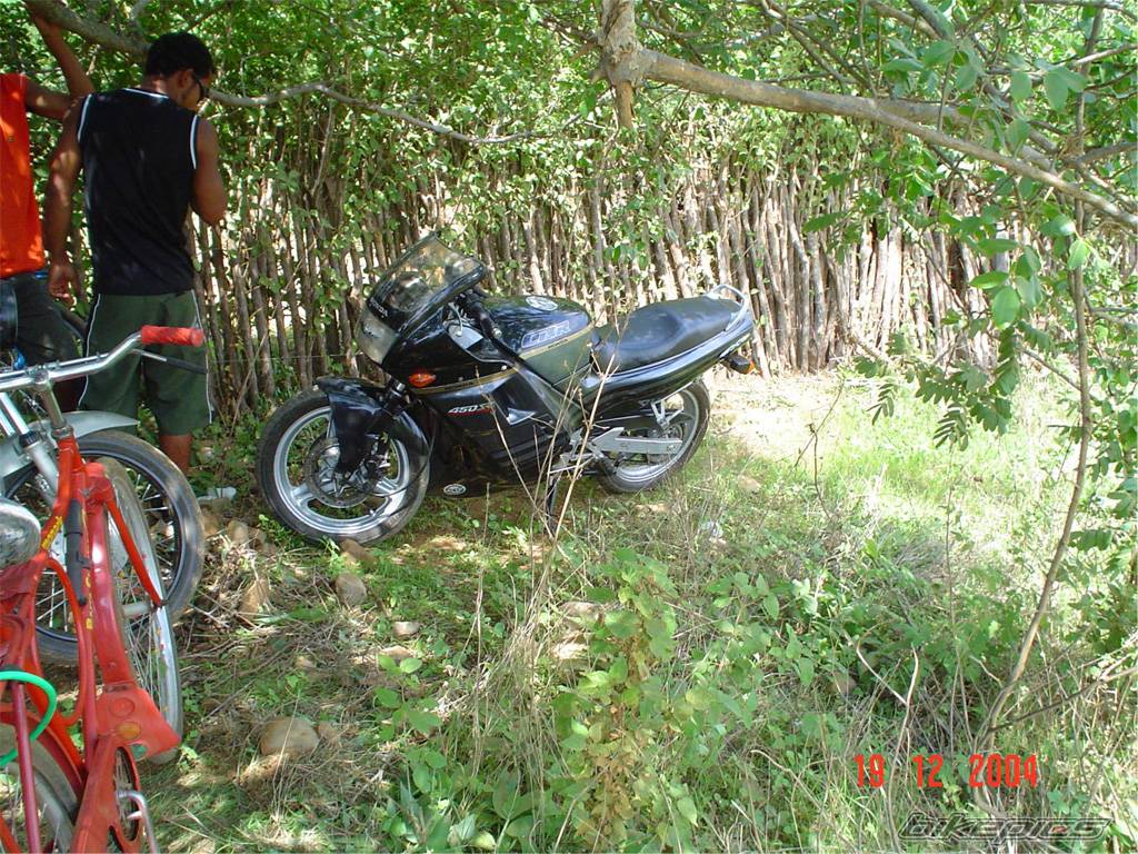 Photo 268870