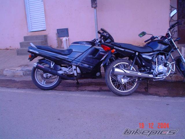 Photo 268876