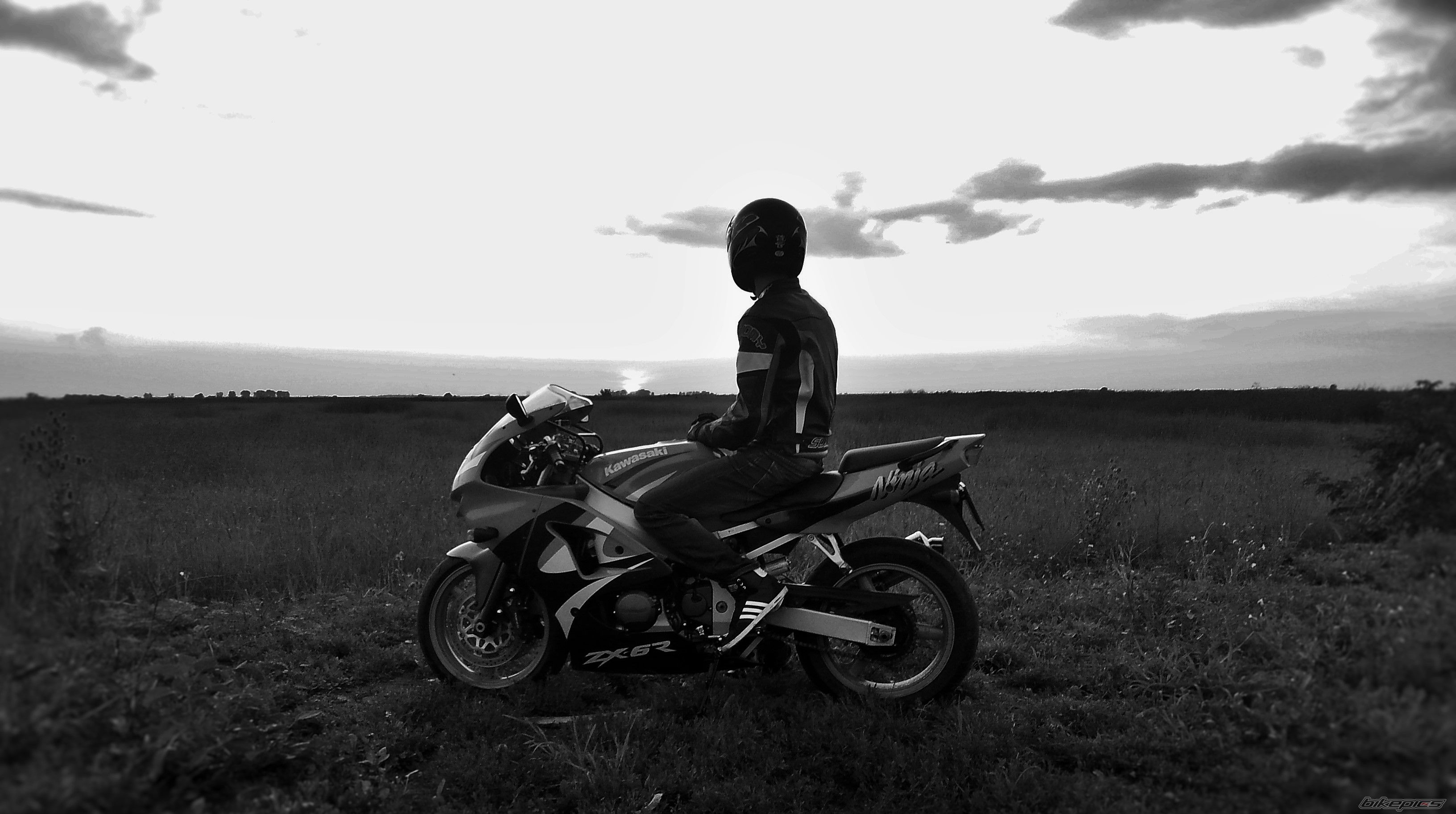 Photo 2688834