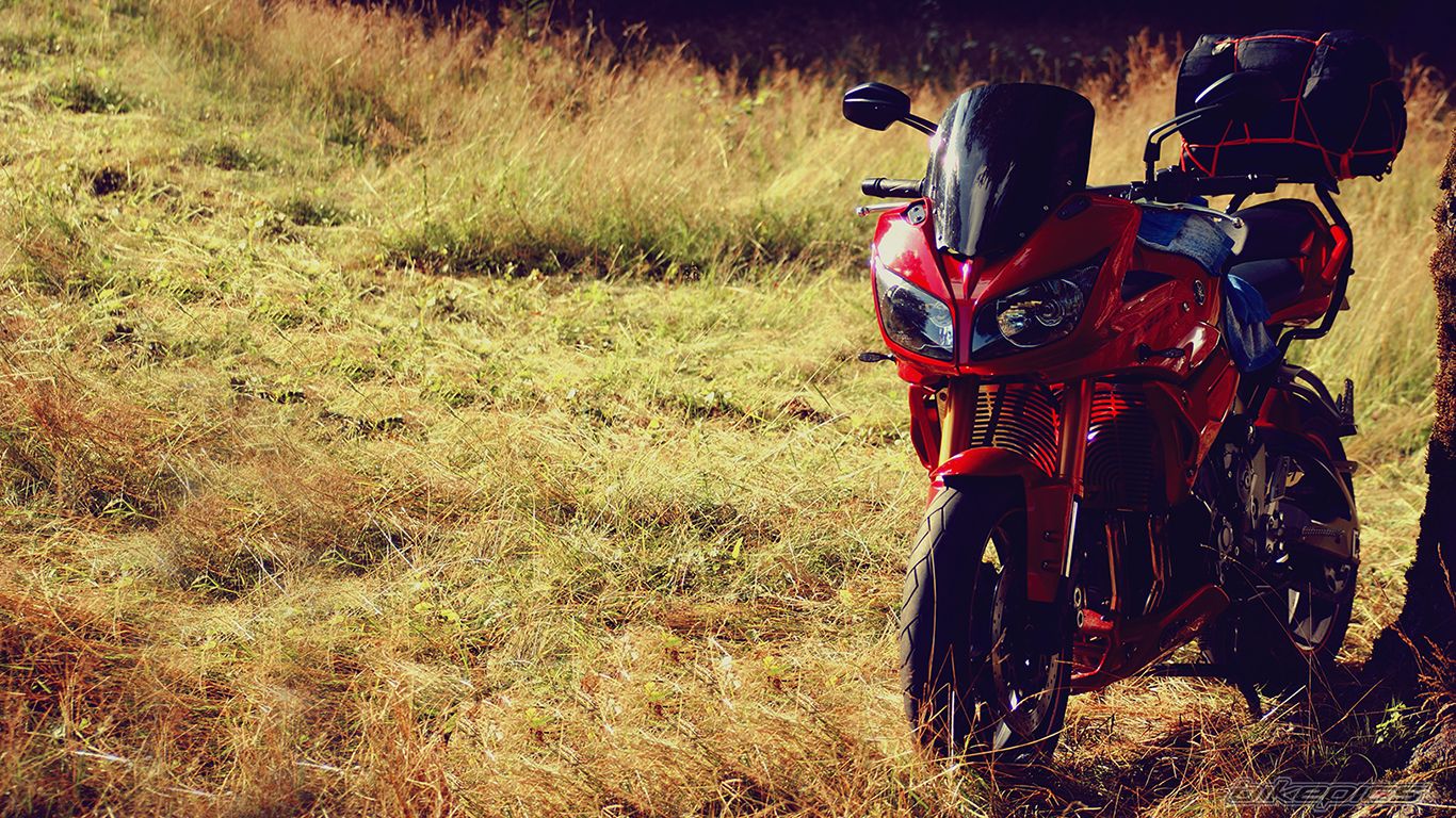 Bike Photo 2688859