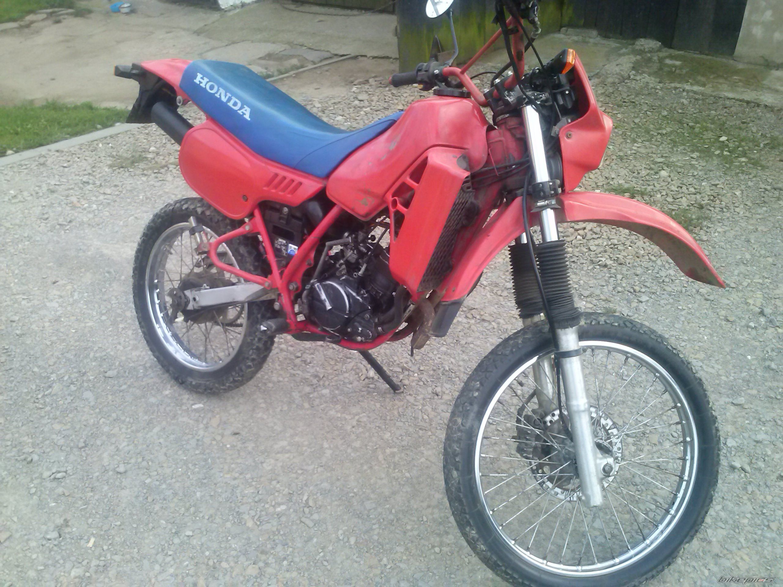 Photo 2688865