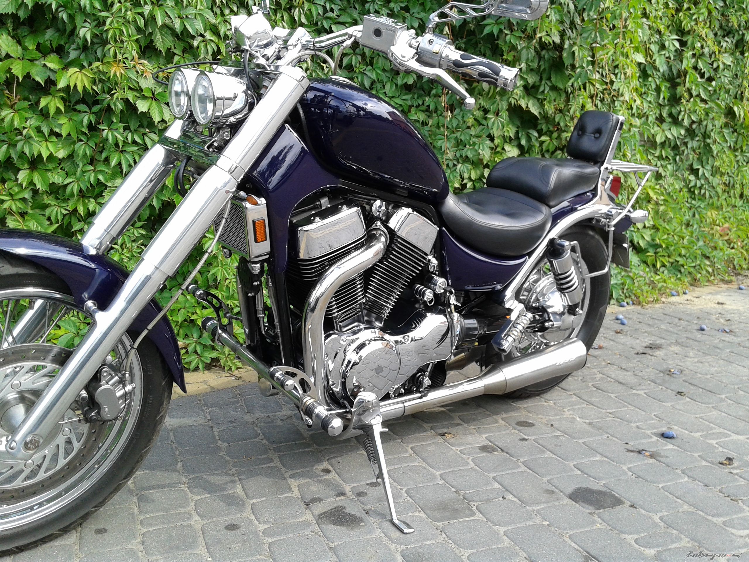 Photo 2688884