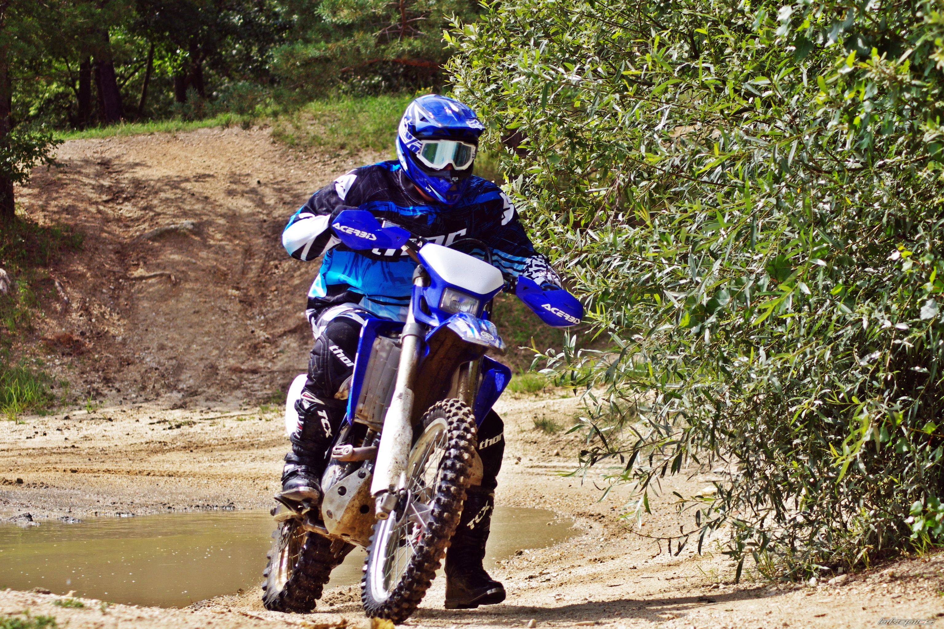 Photo 2688889