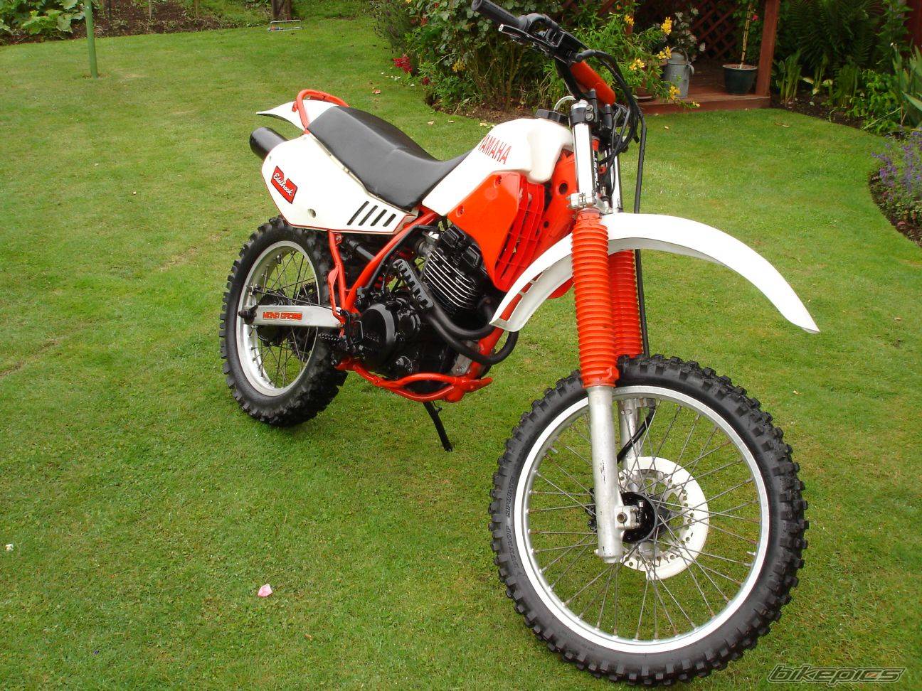 Bike Photo 268898