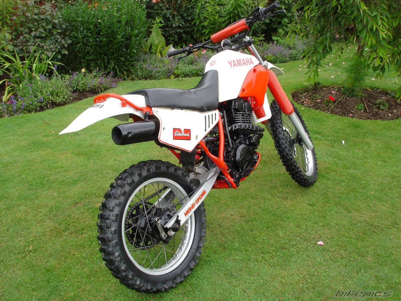 Bike Photo 268899