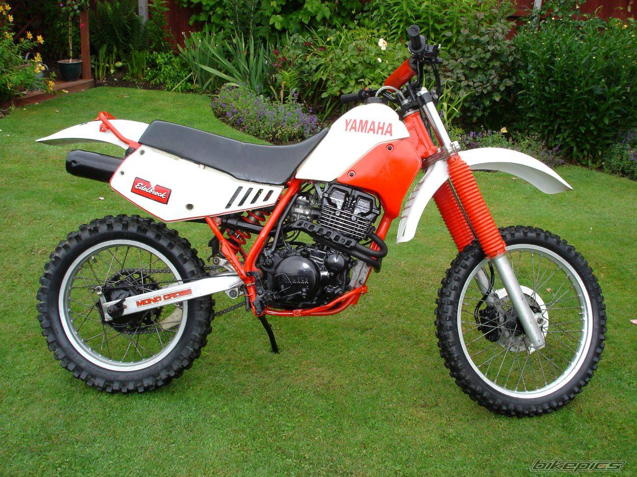 Bike Photo 268900