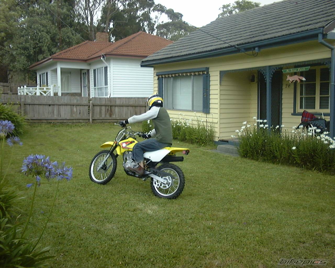 Photo 268901