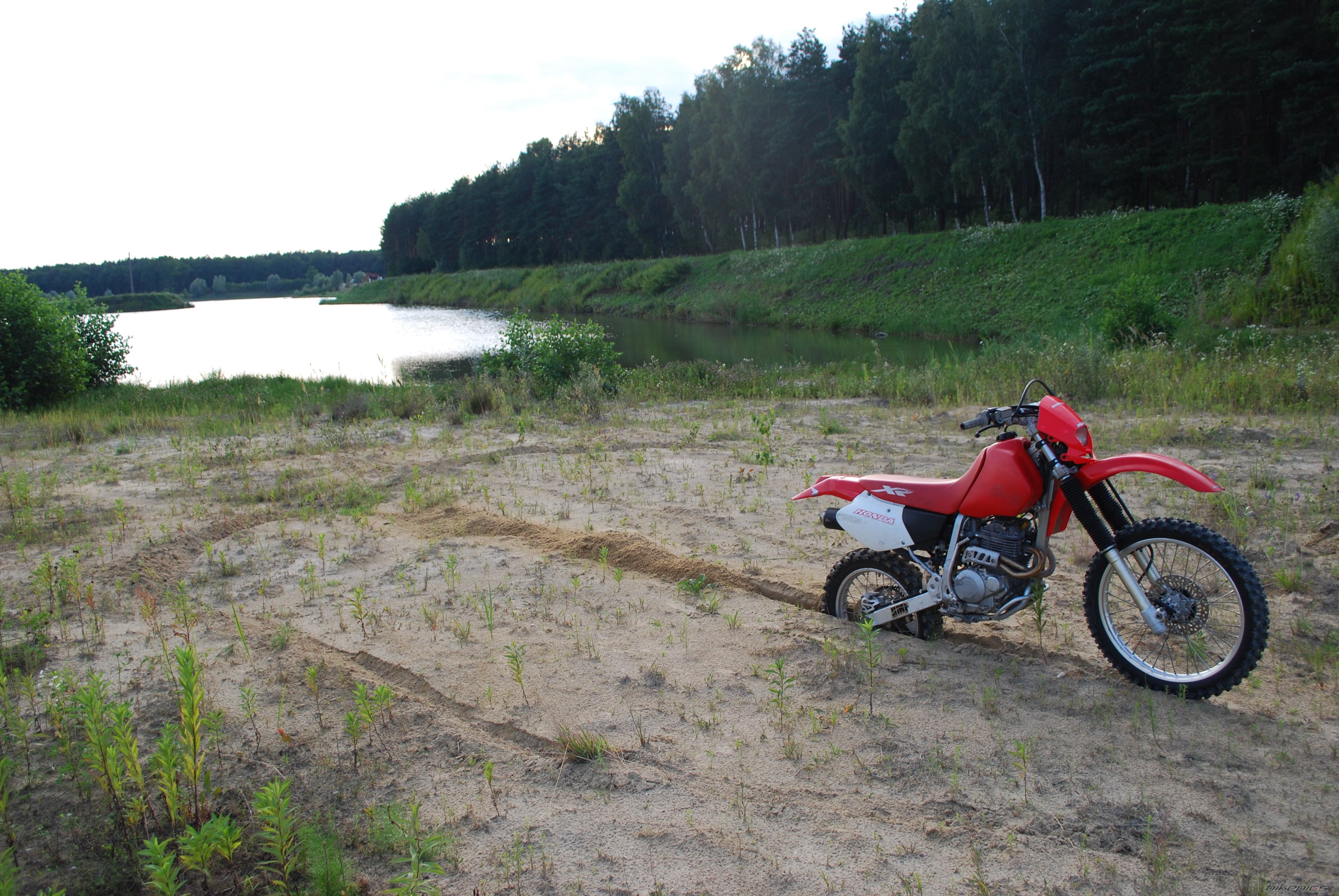 Photo 2689014