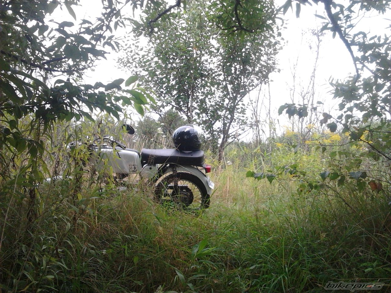 Photo 2689085