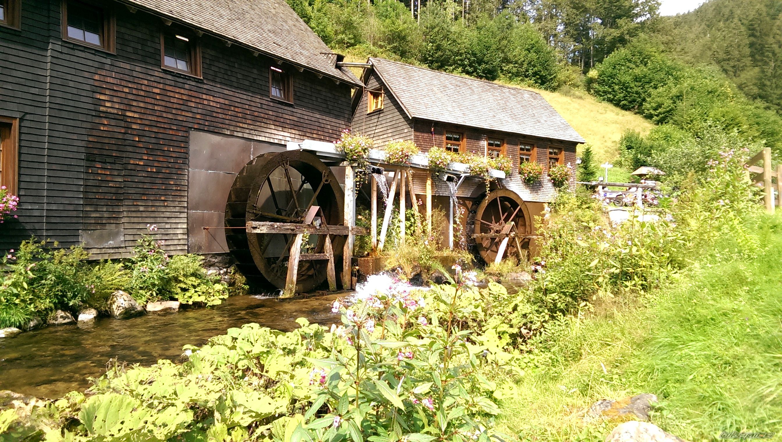 Photo 2689089