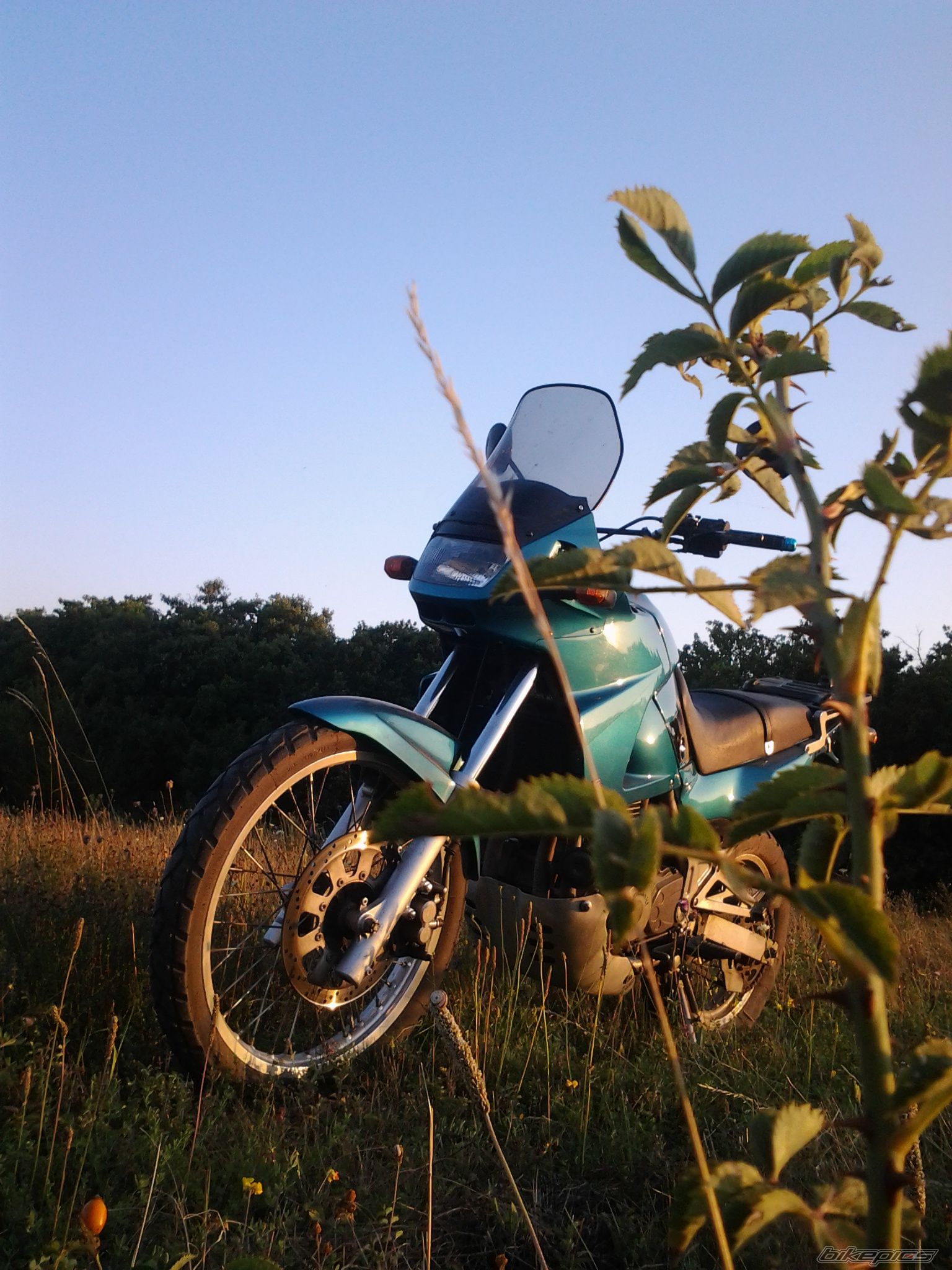 Photo 2689220