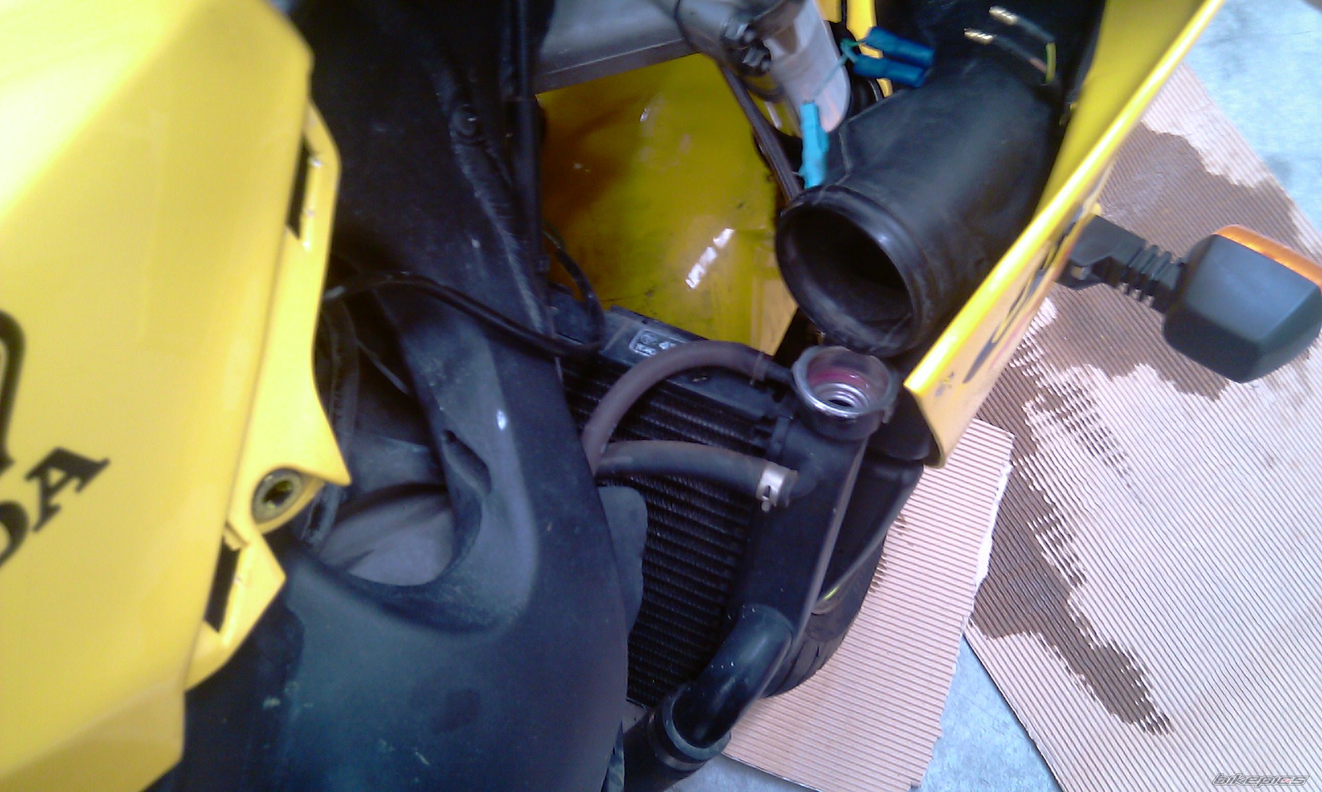Photo 2689318
