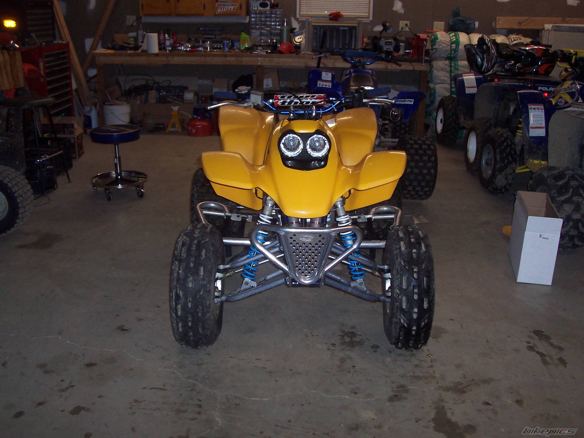 Photo 268939