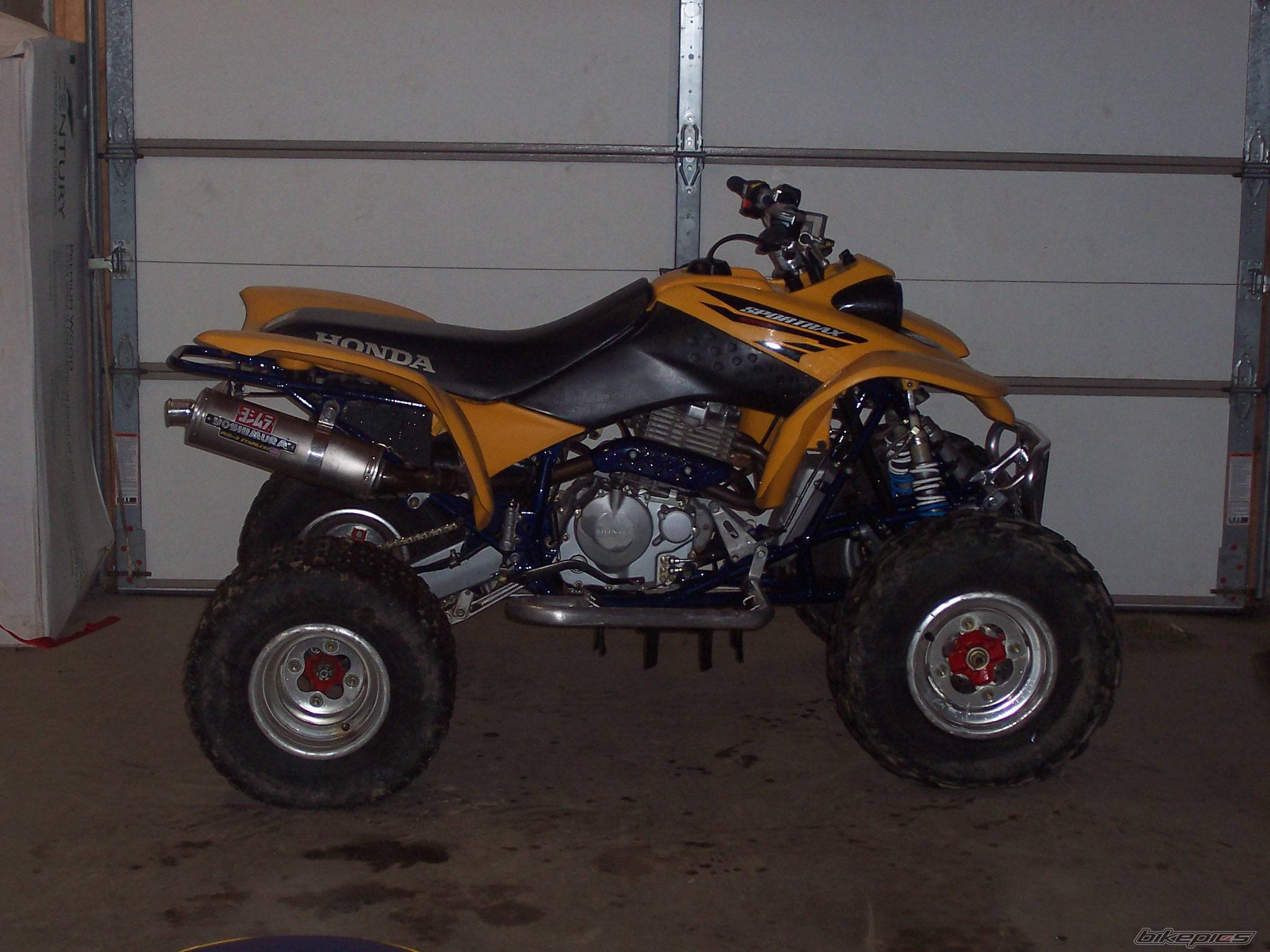 Photo 268941