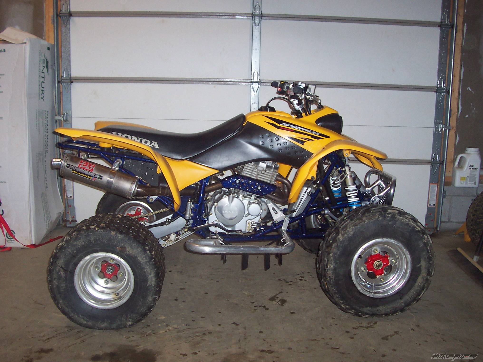 Photo 268942