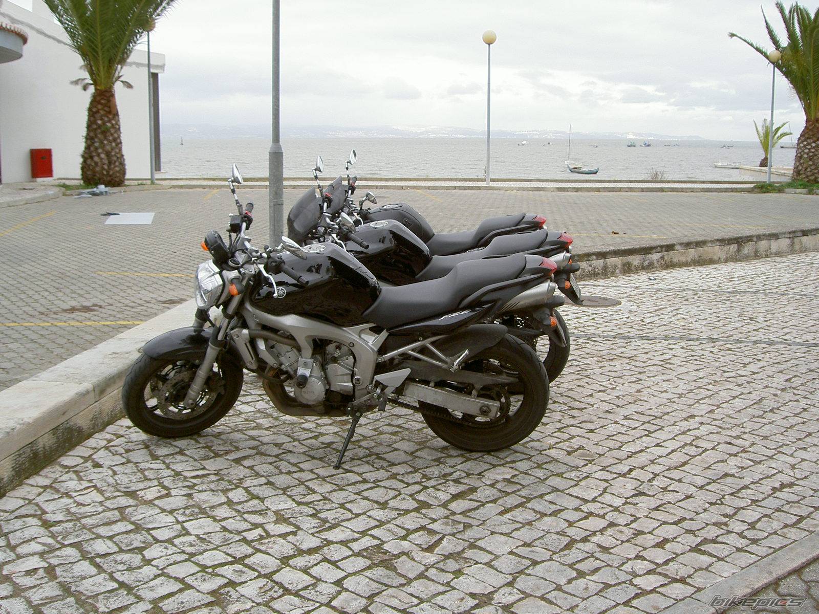 Photo 268943