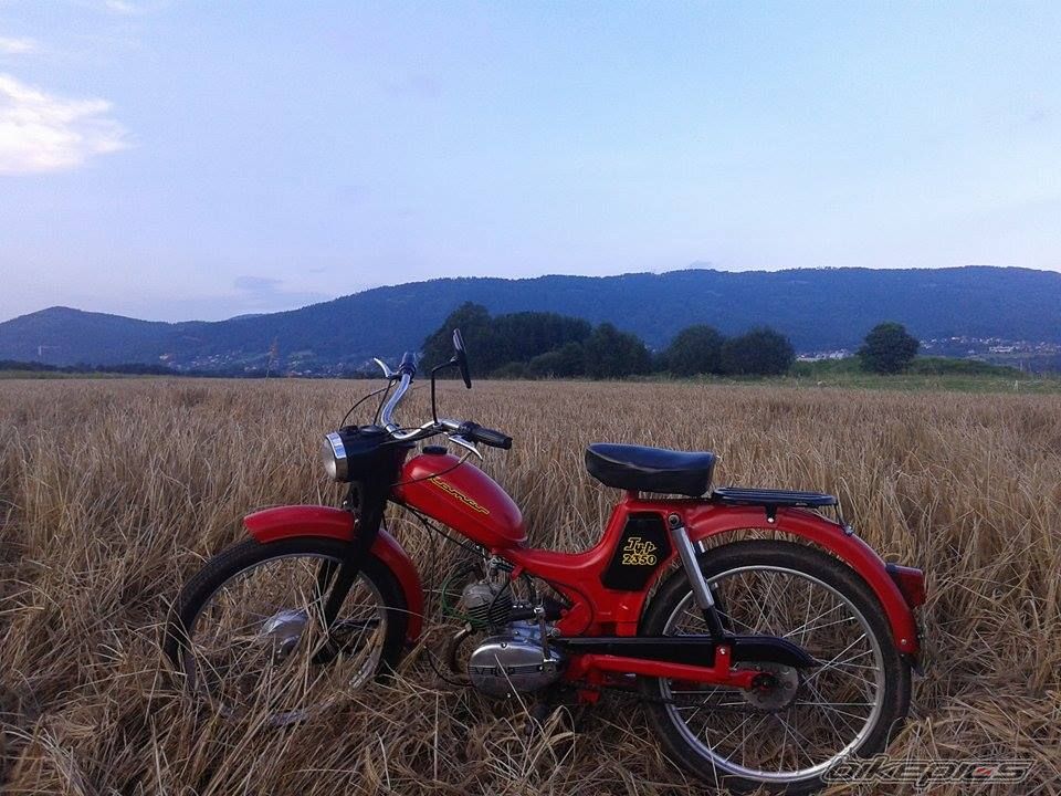 Photo 2689480