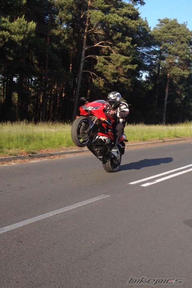 Photo 2689533