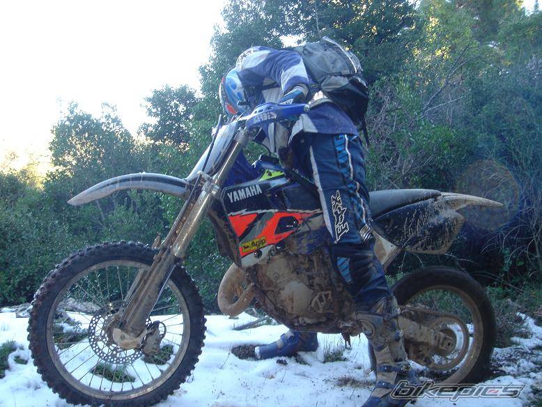Bike Photo 268985