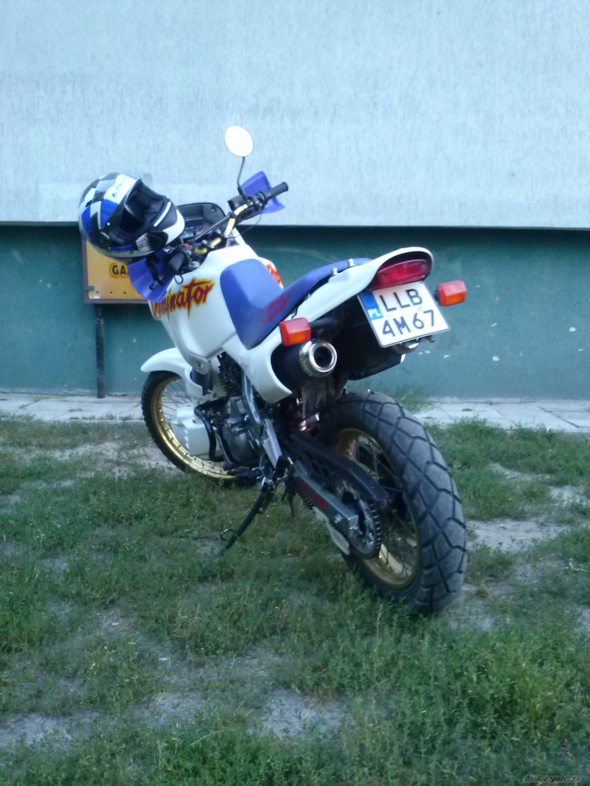Photo 2690235