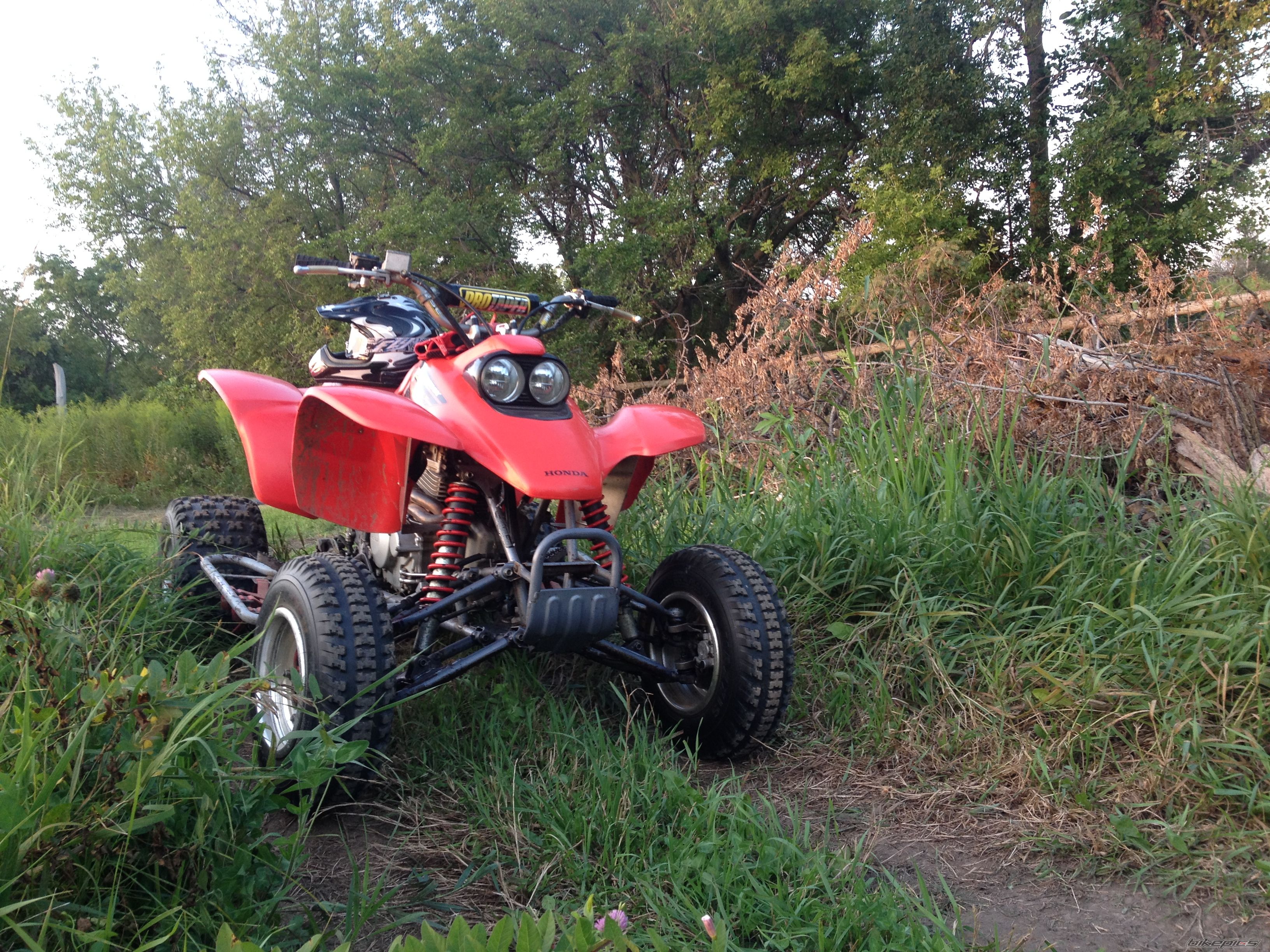 Photo 2690243
