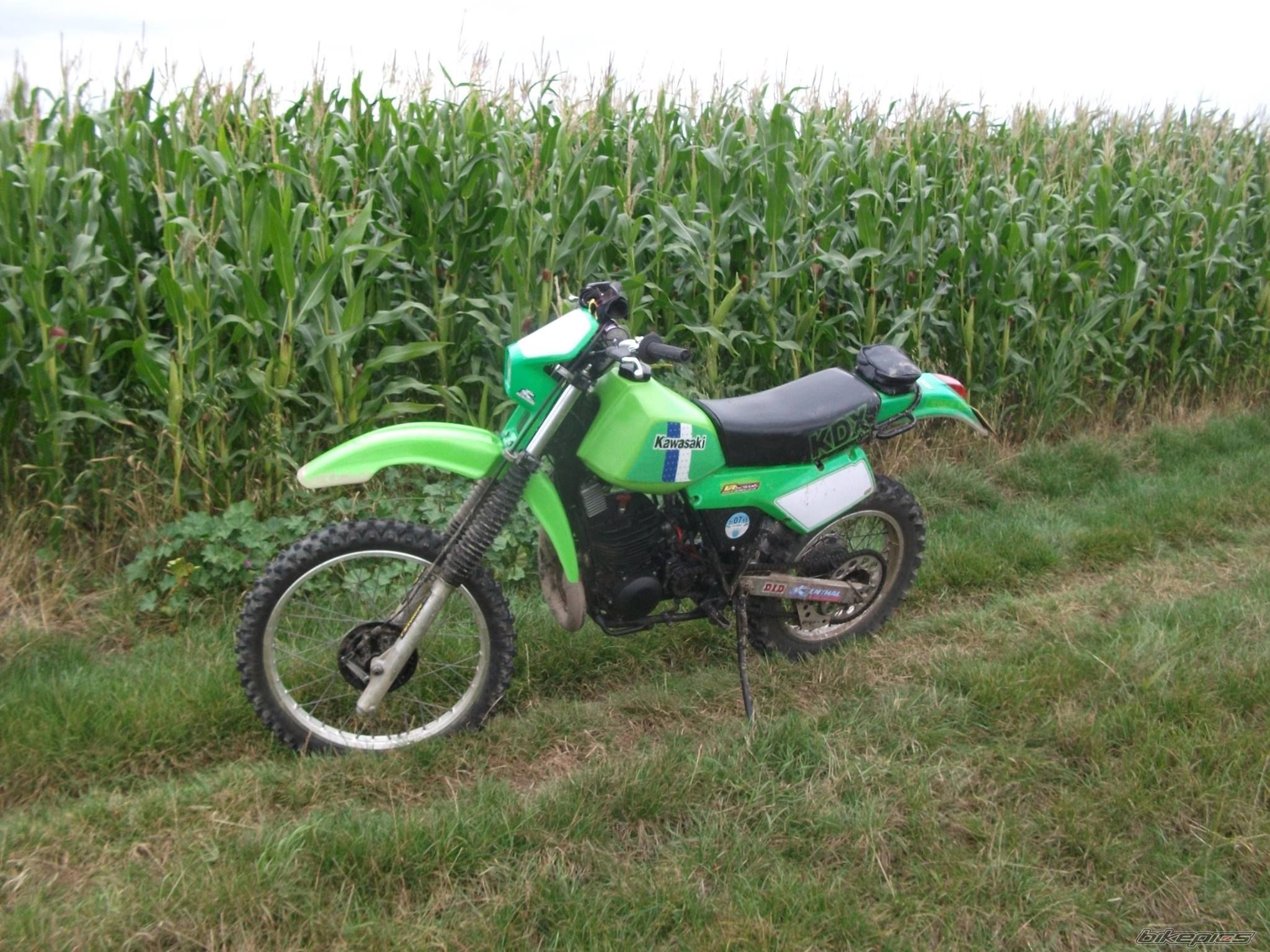 Photo 2690249