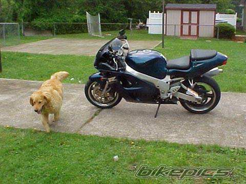 Photo 26903