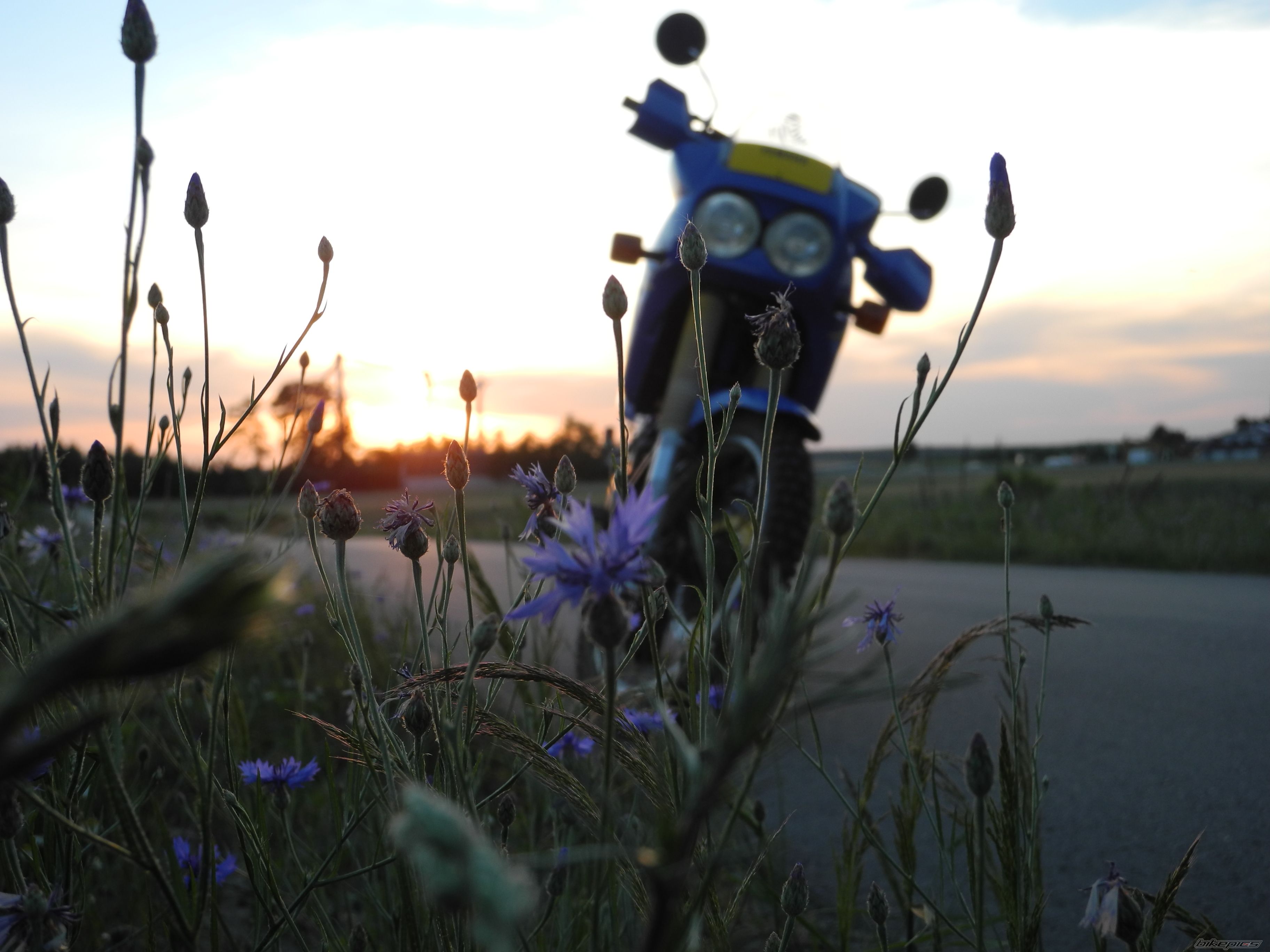 Bike Photo 2690317
