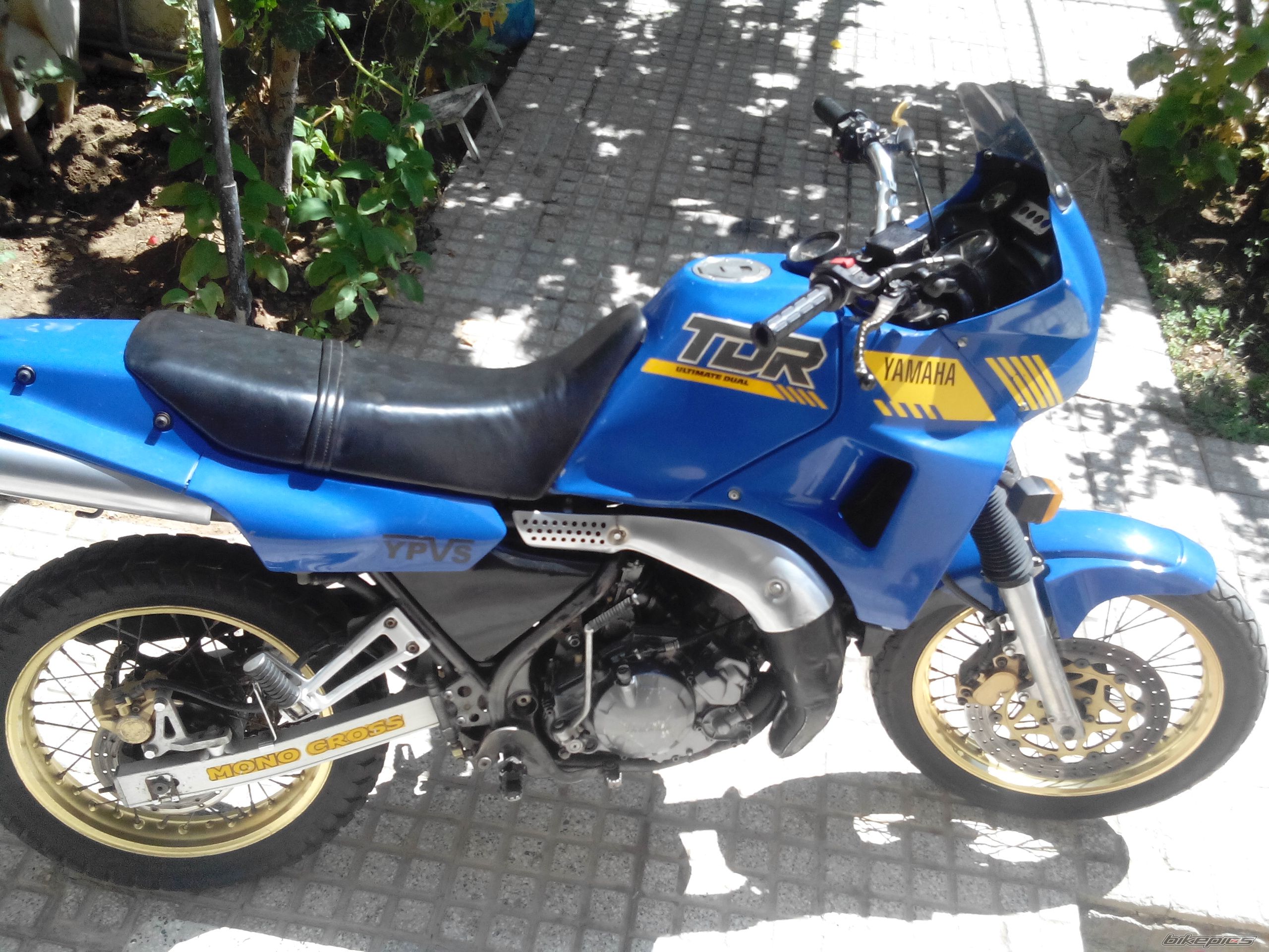 Photo 2690371