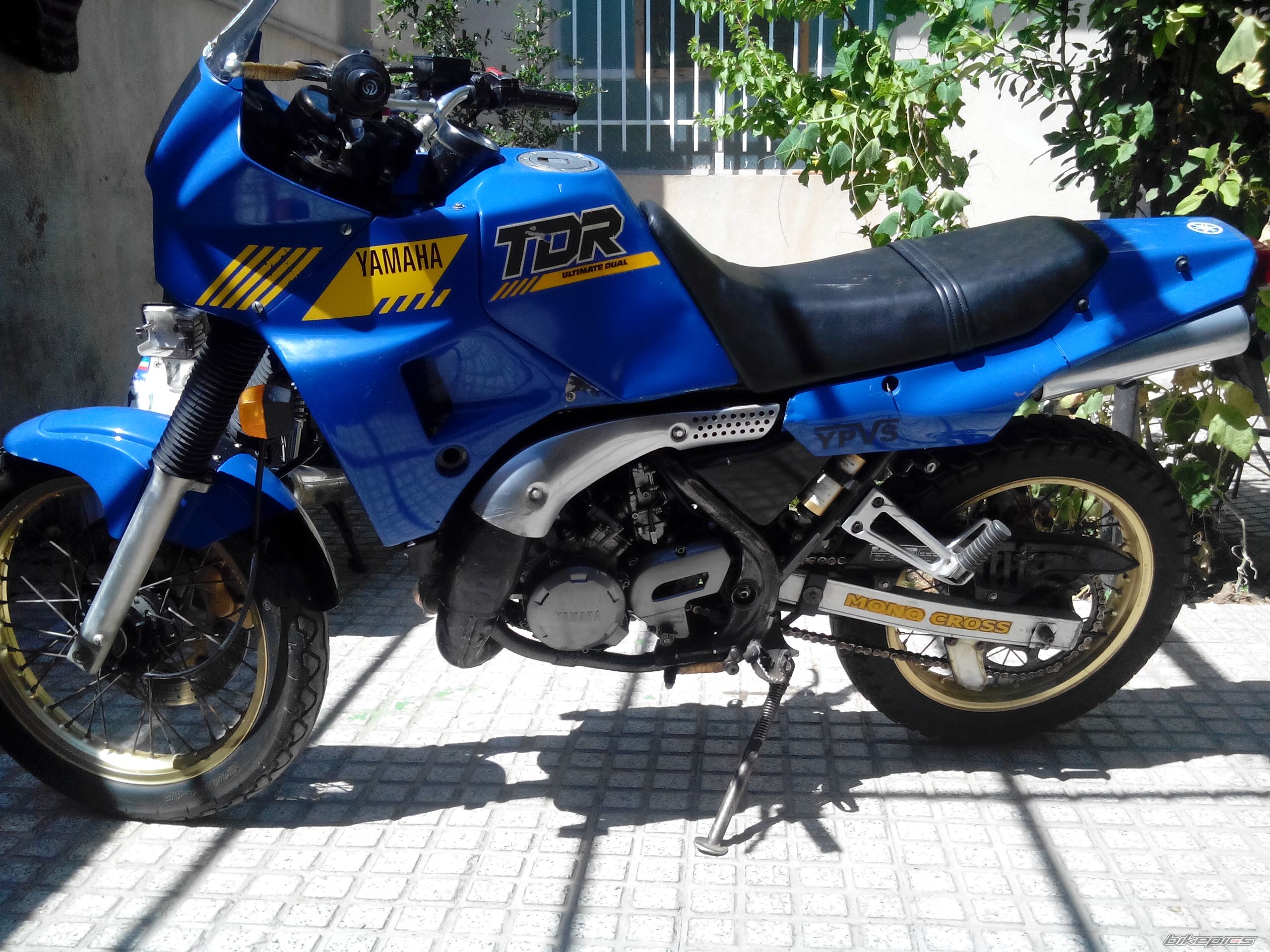 Photo 2690372