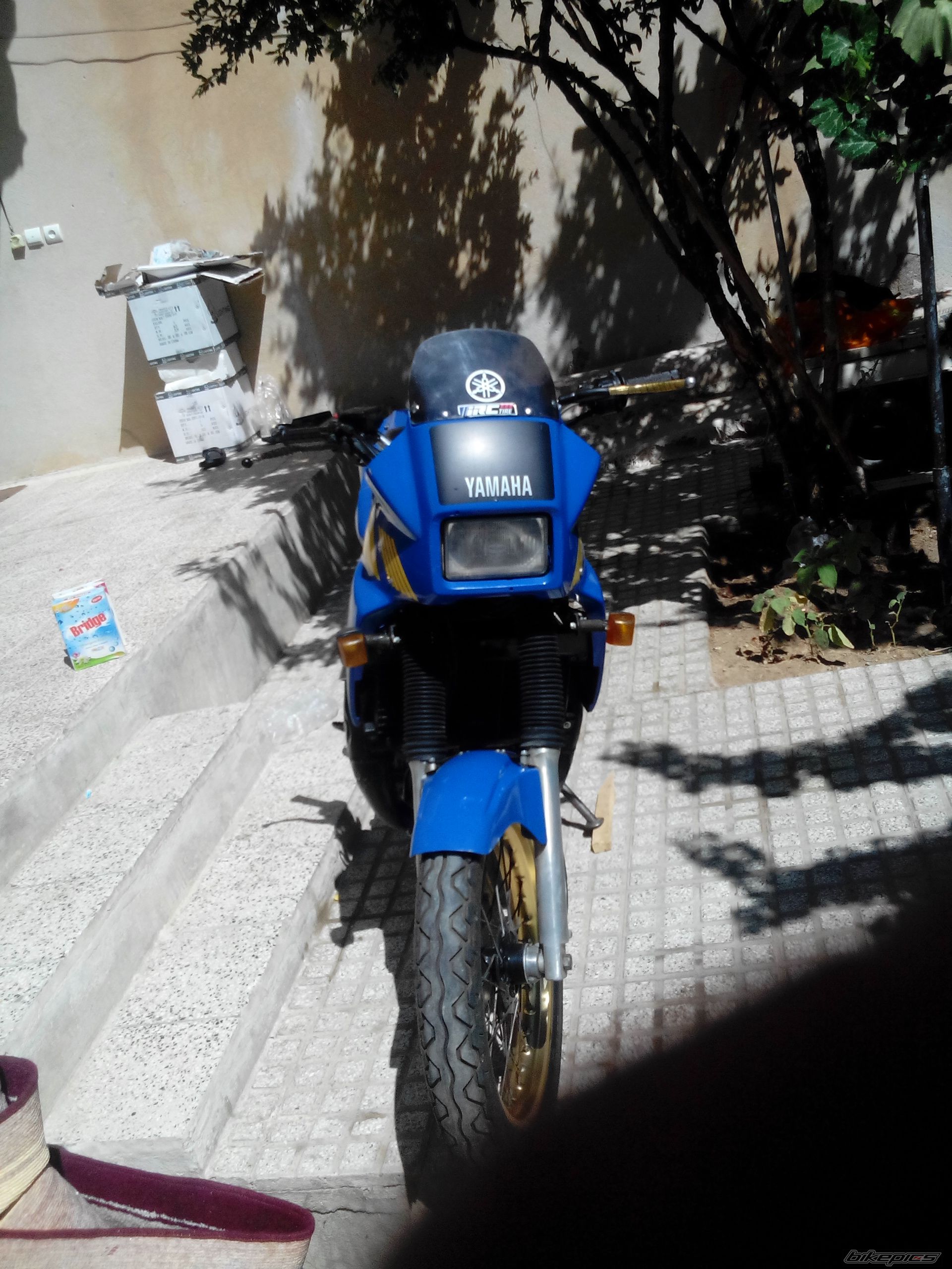 Photo 2690373