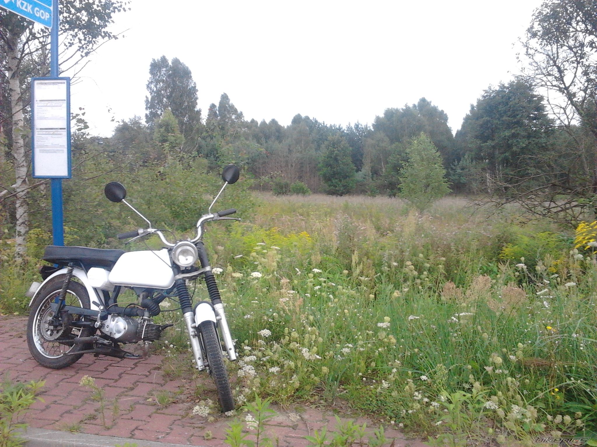 Photo 2690408