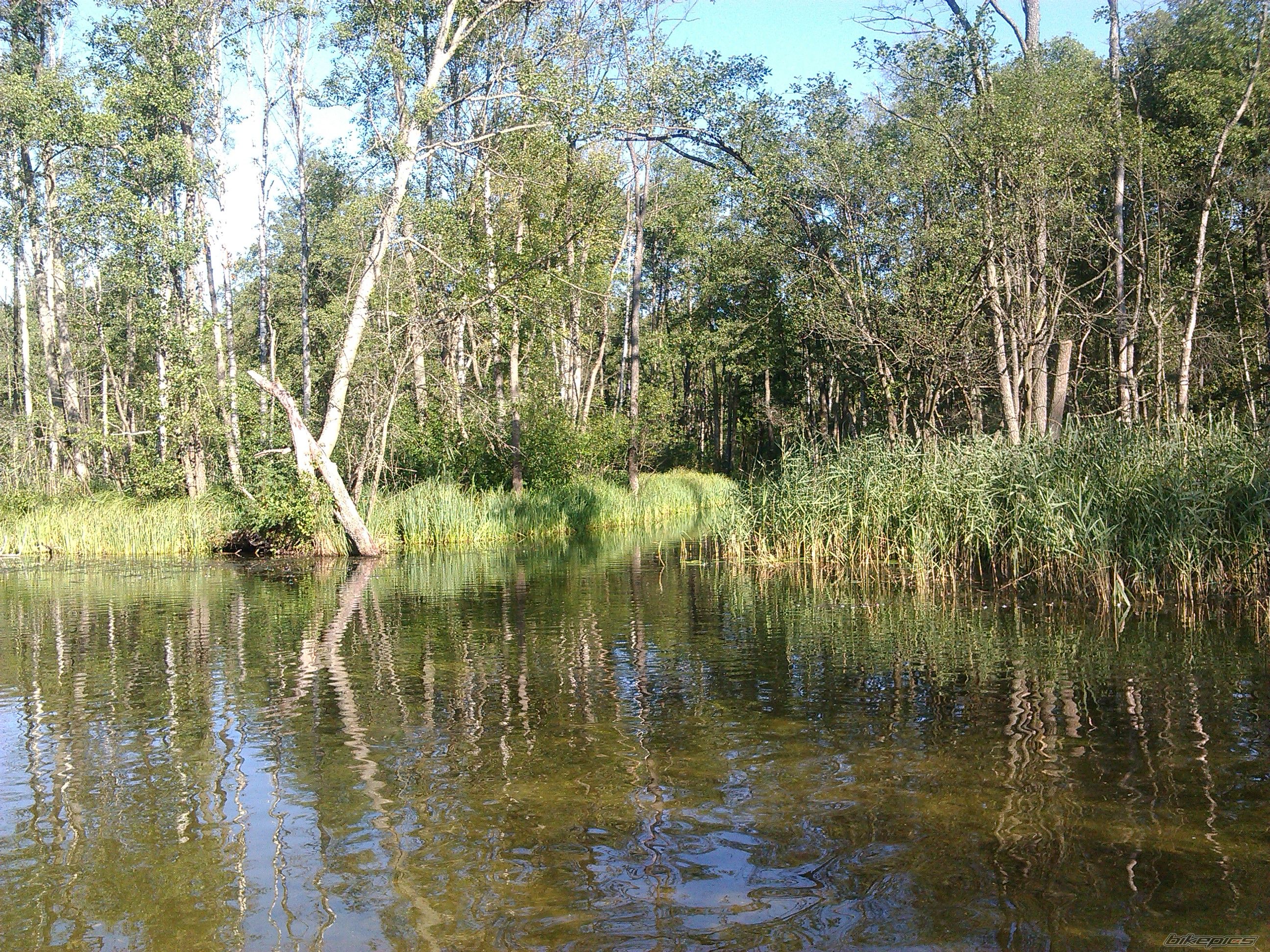 Photo 2690479