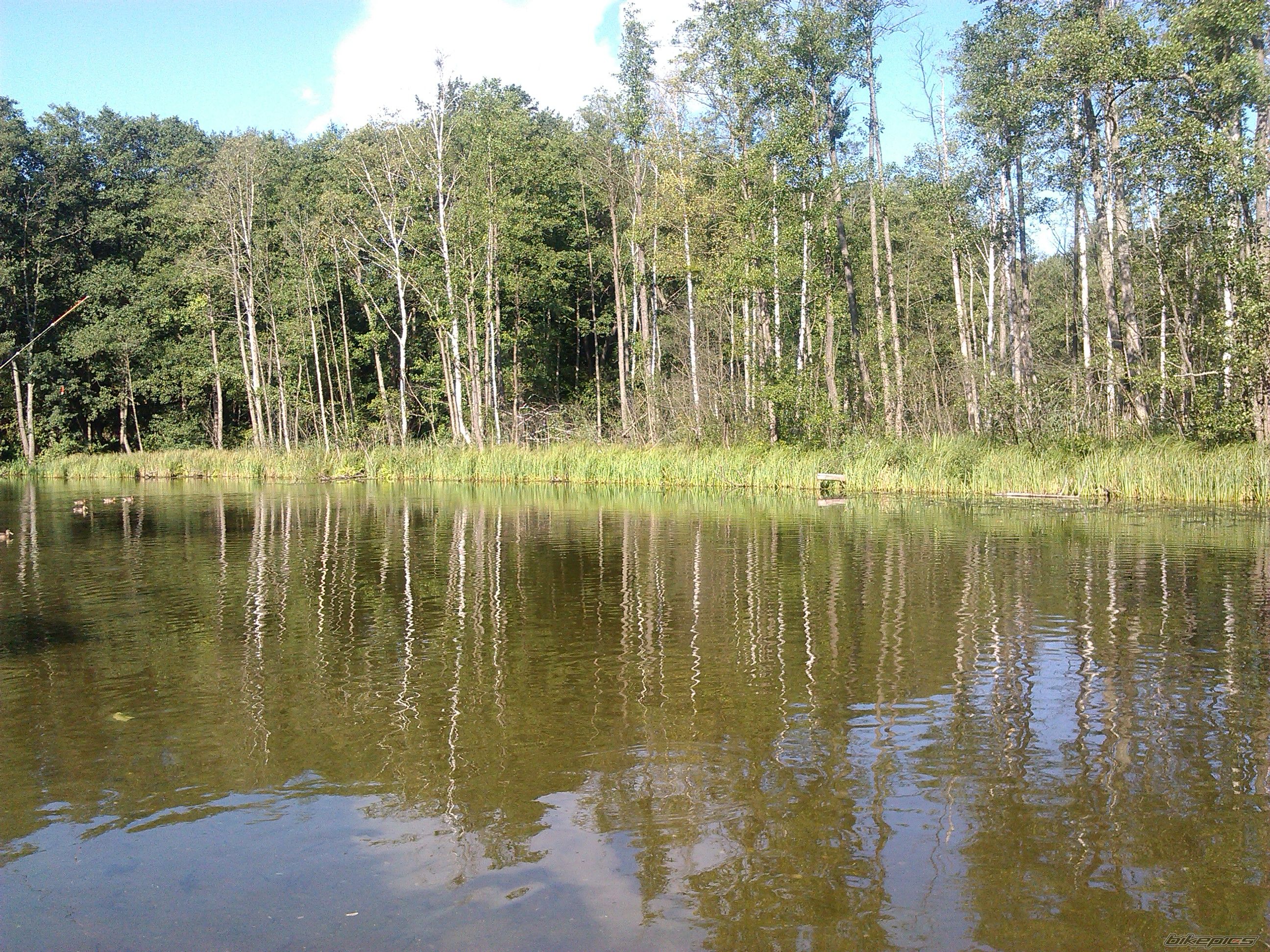 Photo 2690480