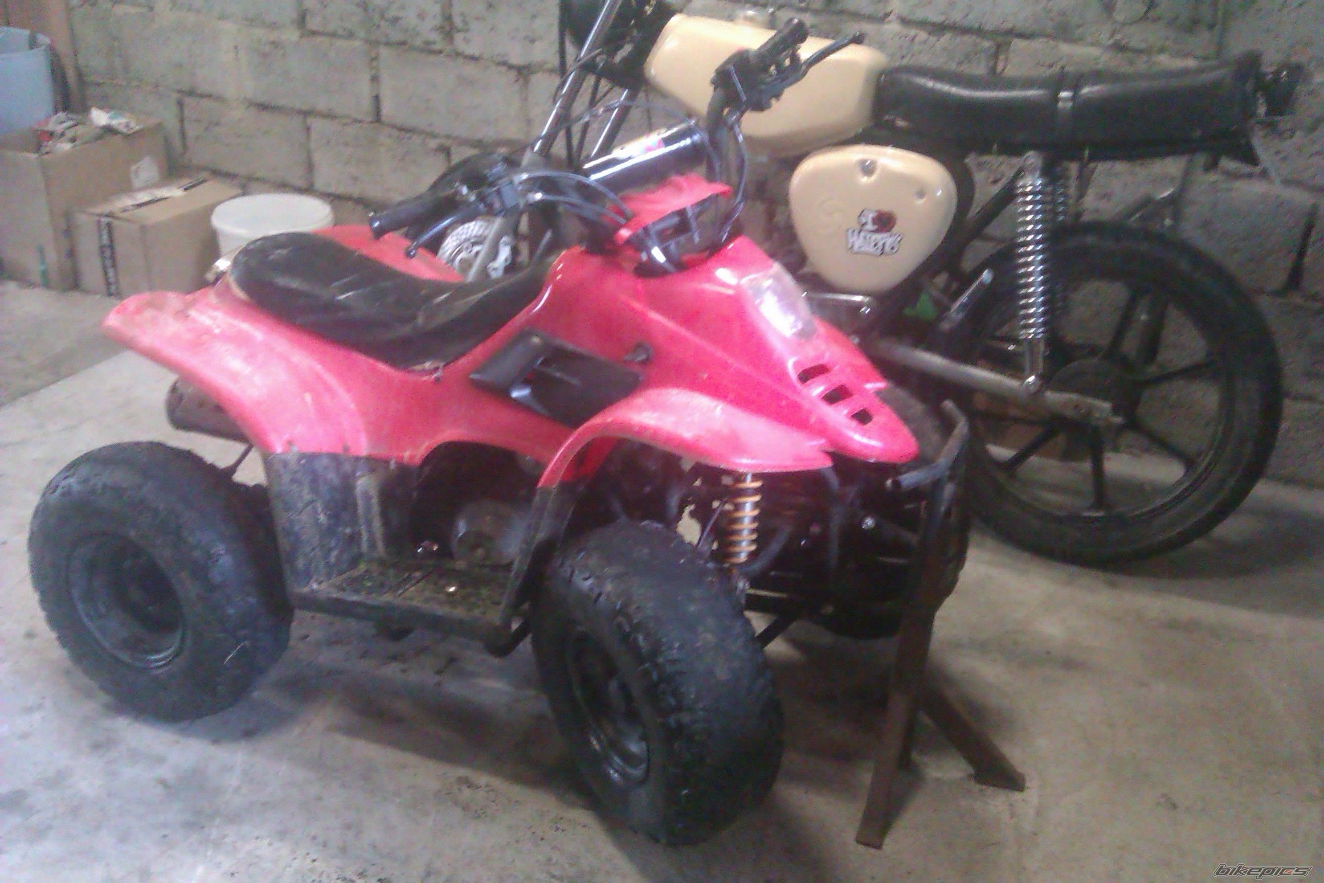 Photo 2690568
