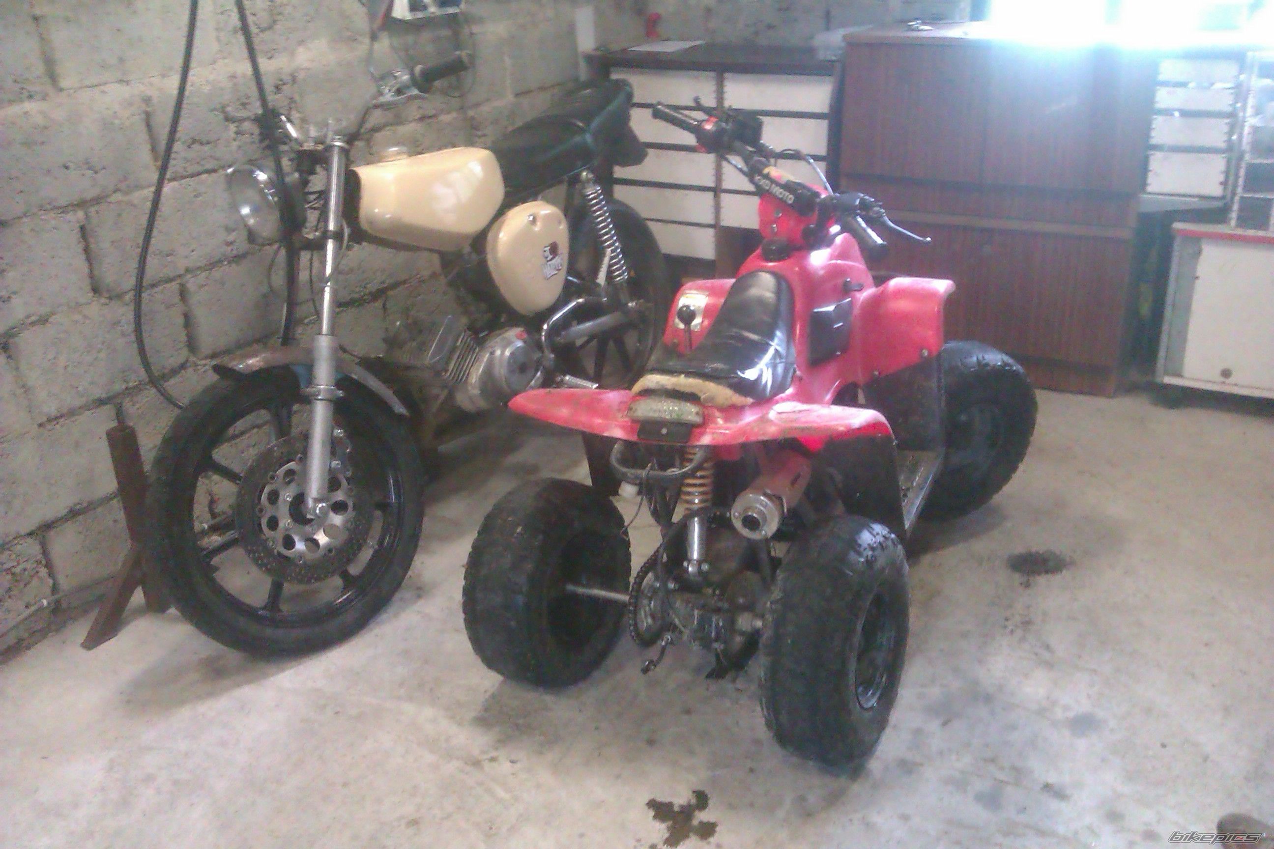 Photo 2690569