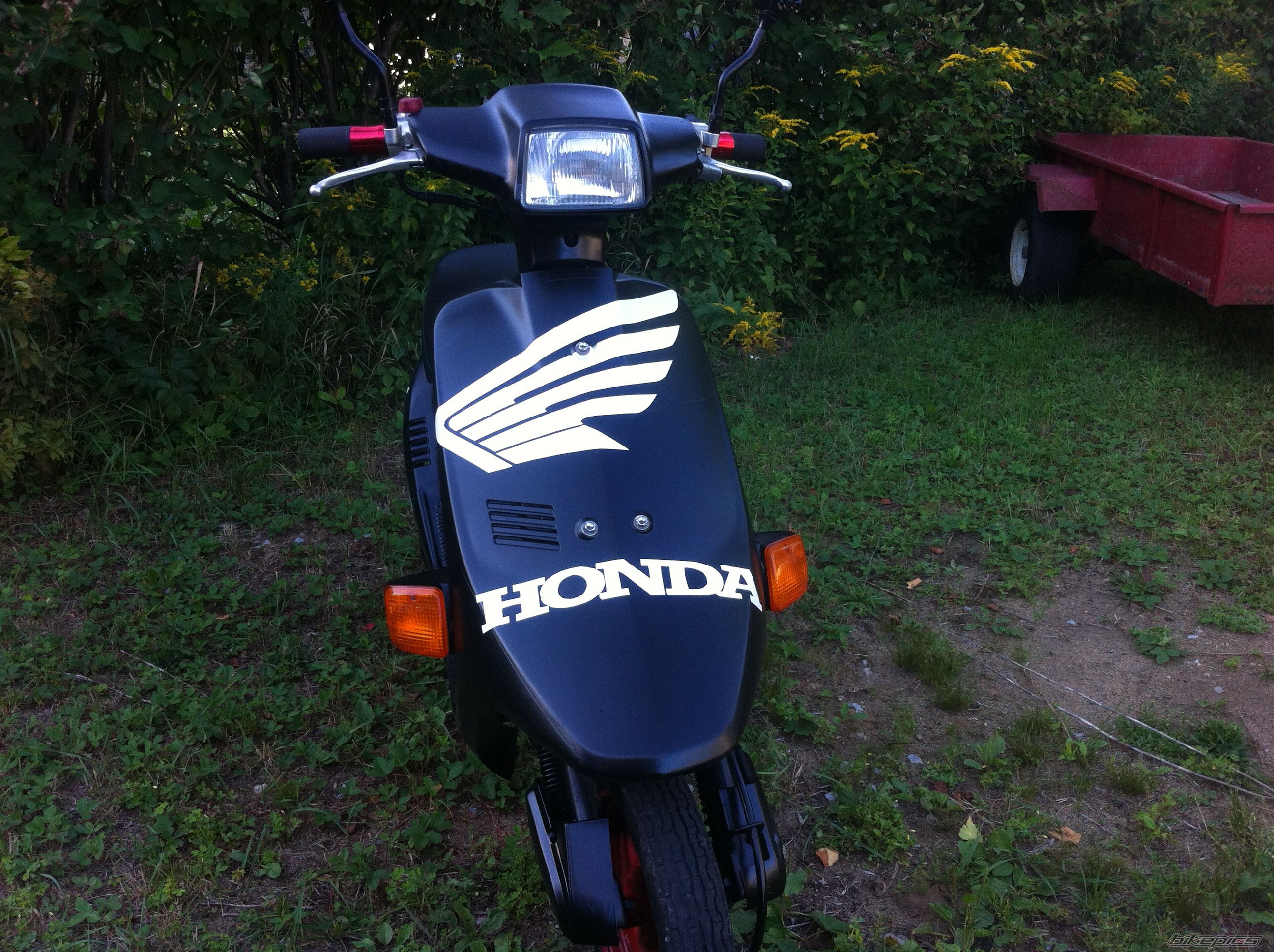 Photo 2690702