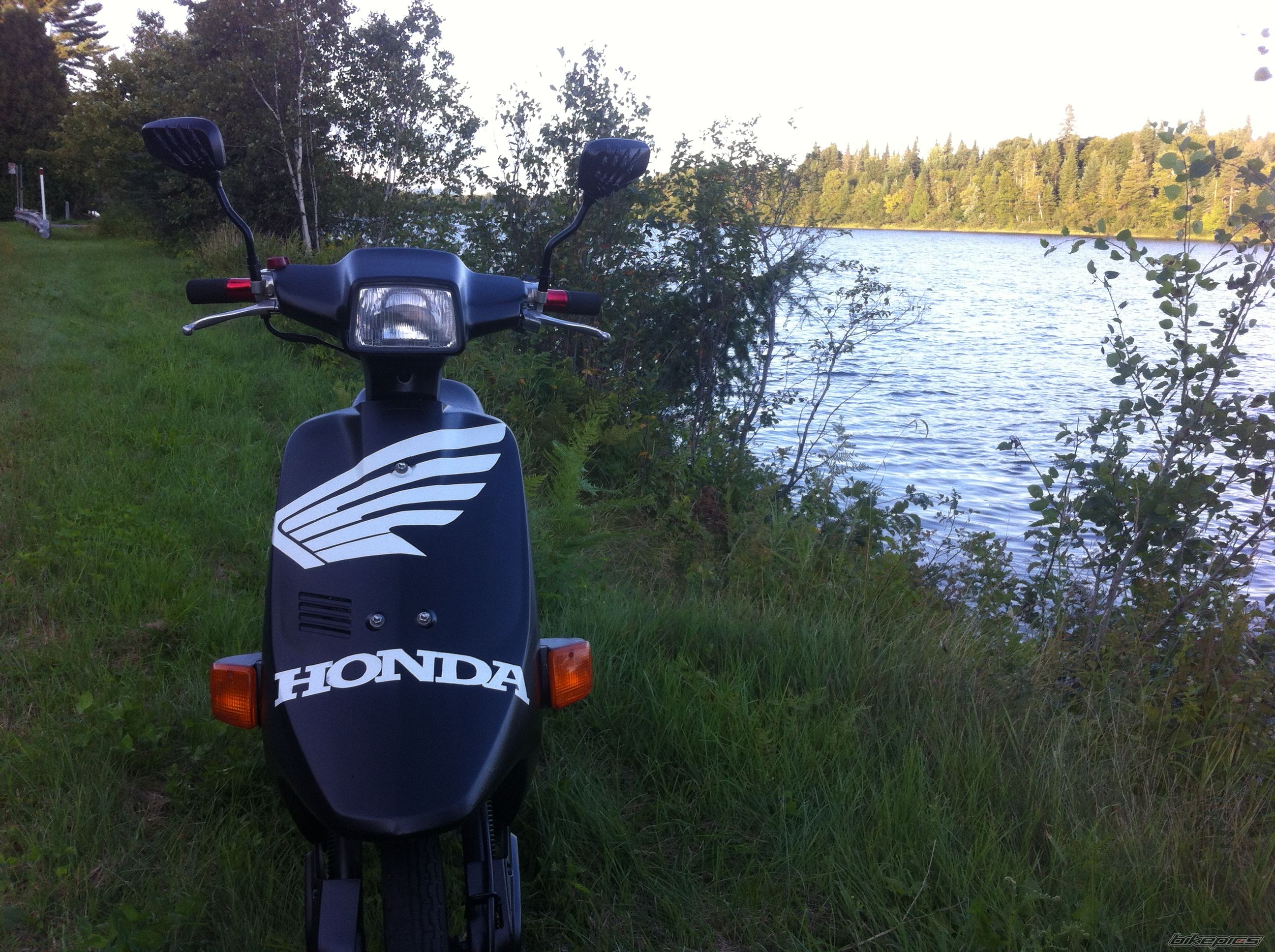 Photo 2690703
