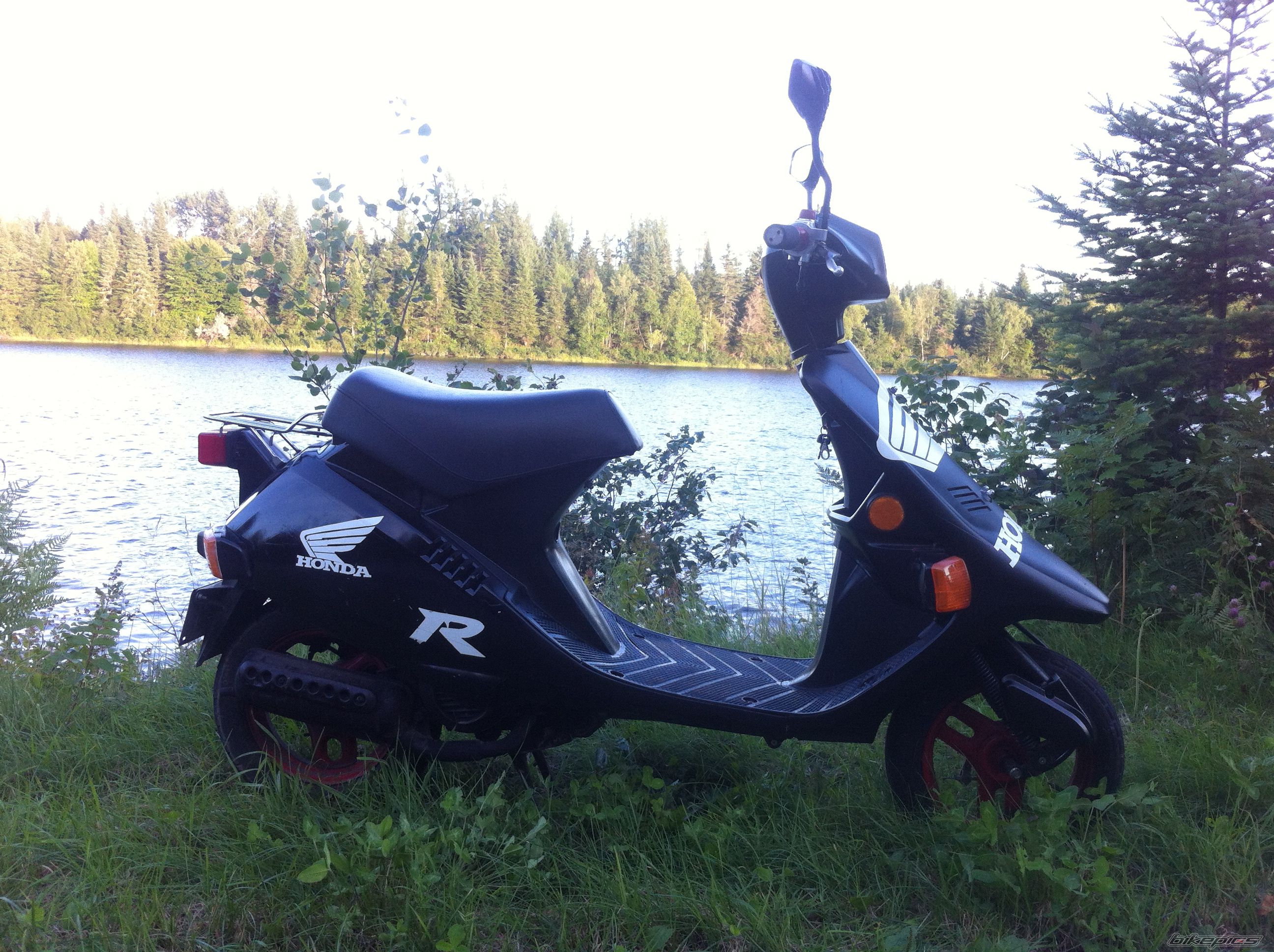 Photo 2690704